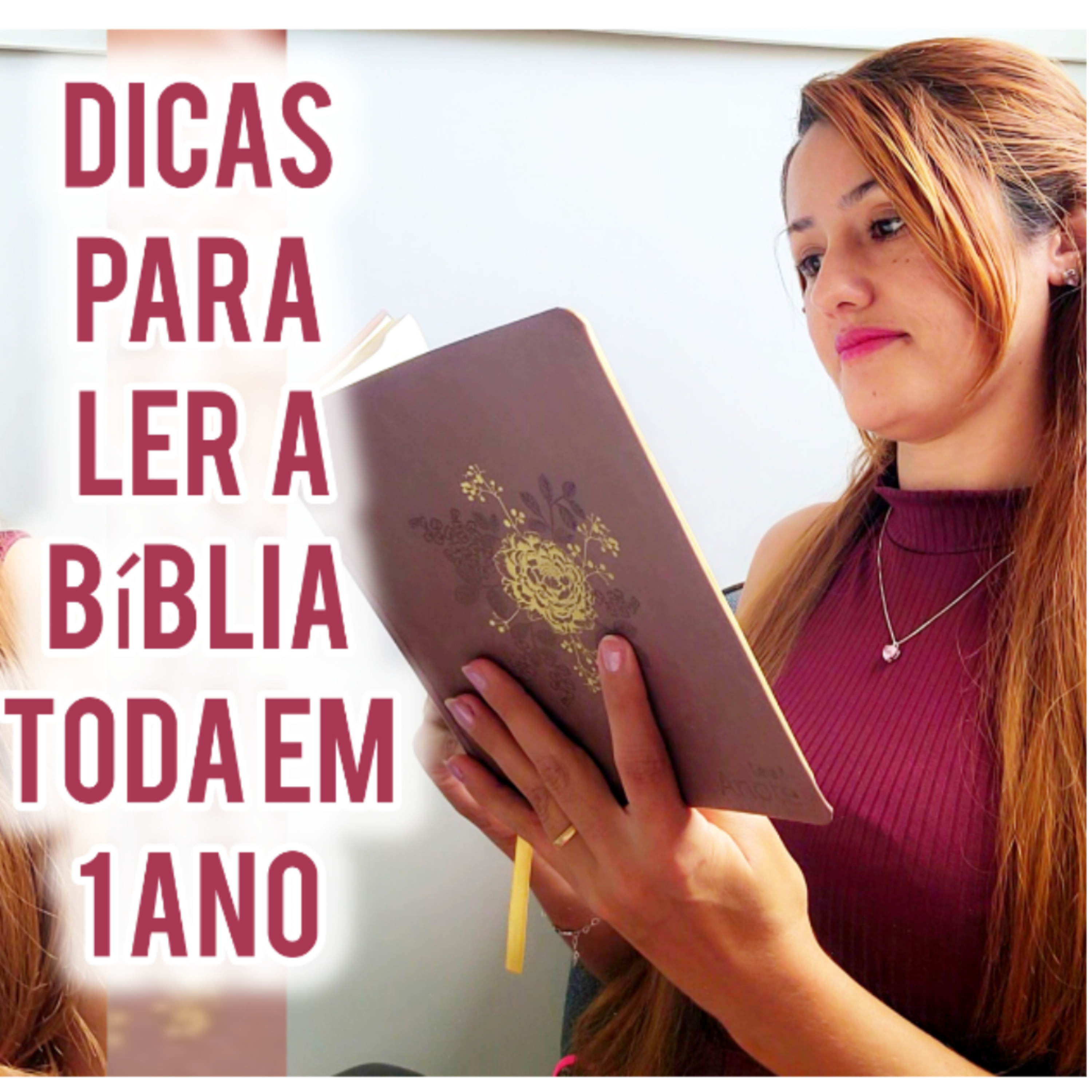 Ler a Bíblia em 1 ano (dicas) episode artwork