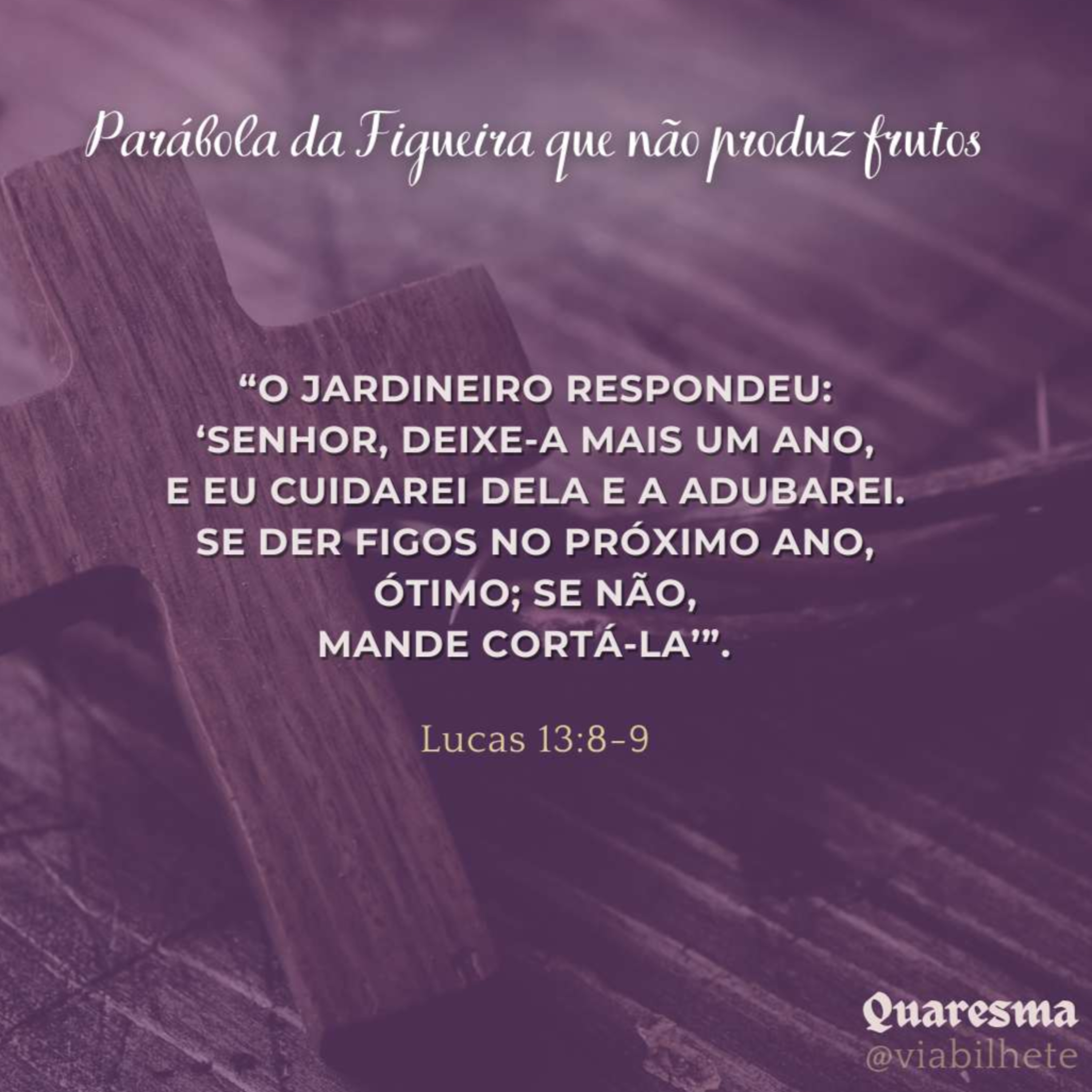 Parábola da Figueira sem frutos - Ep.20/47 - Quaresma  episode artwork