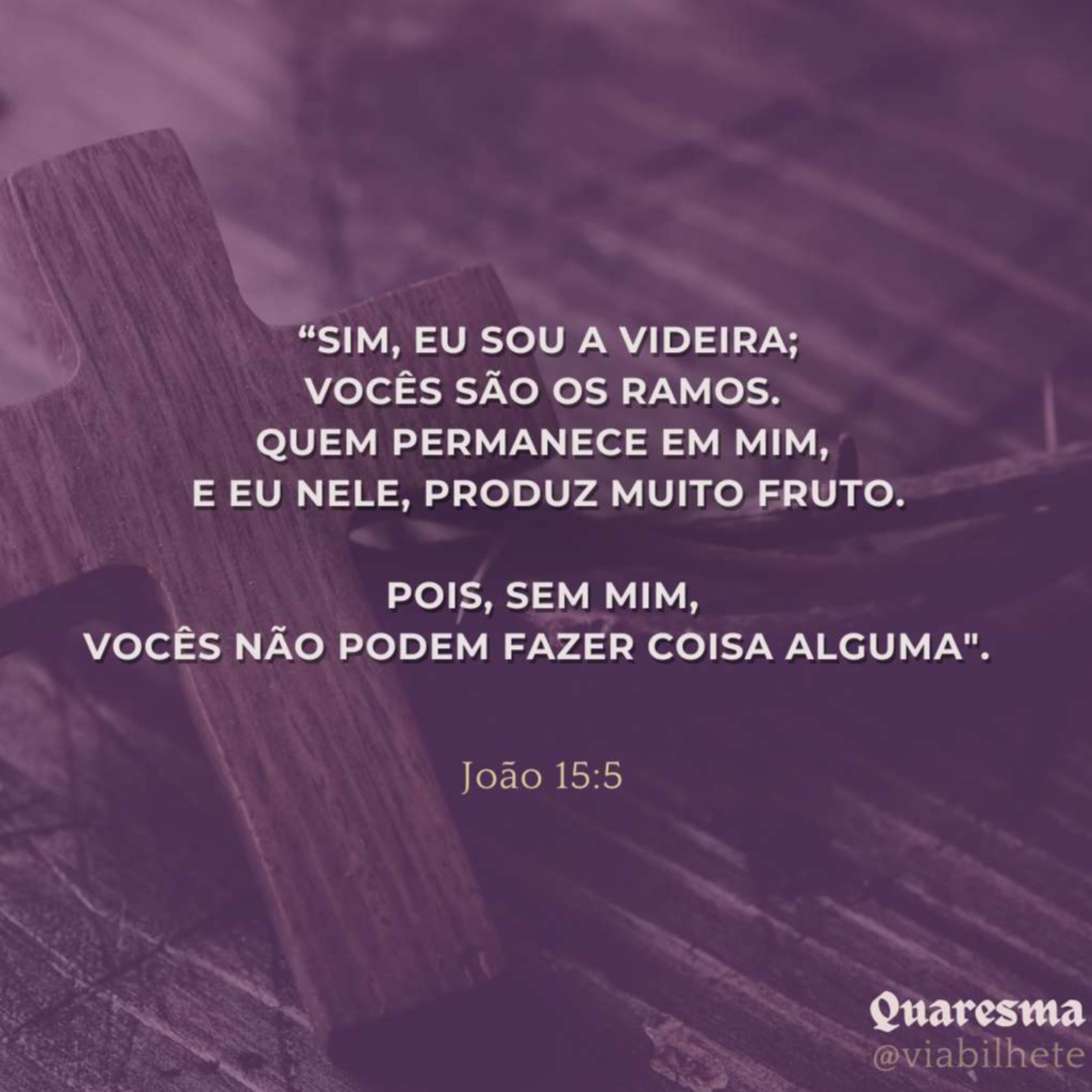 Cristo a Videira da Vida - Ep.28/47 - Quaresma  episode artwork
