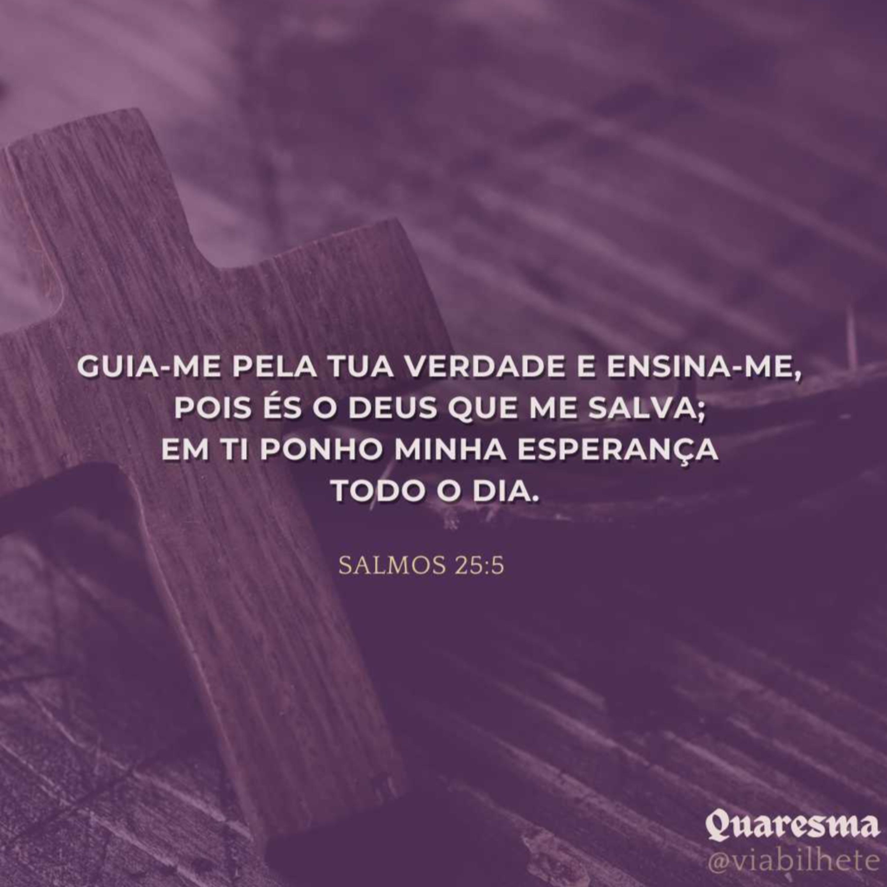 Minha esperança está em ti Senhor - Ep.31/47 - Quaresma episode artwork
