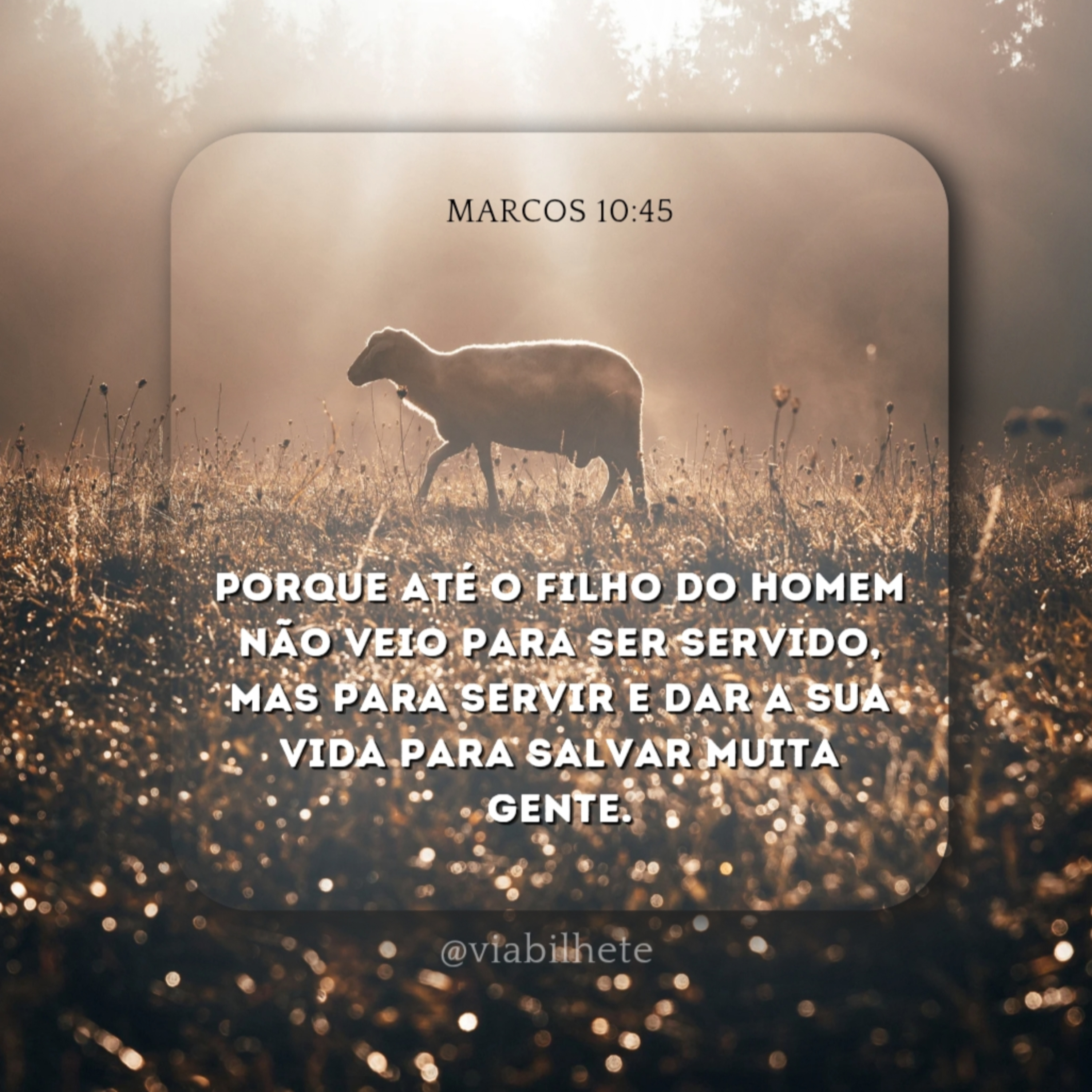 Porque Jesus veio e porque Ele morreu? - Ep.42/47 - Terça-feira Santa episode artwork
