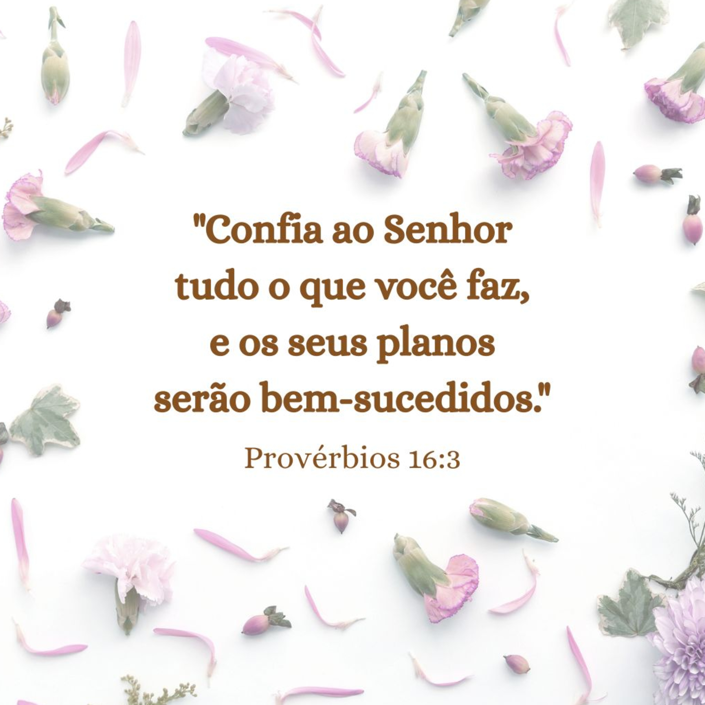 Confia ao Senhor os seus planos. episode artwork