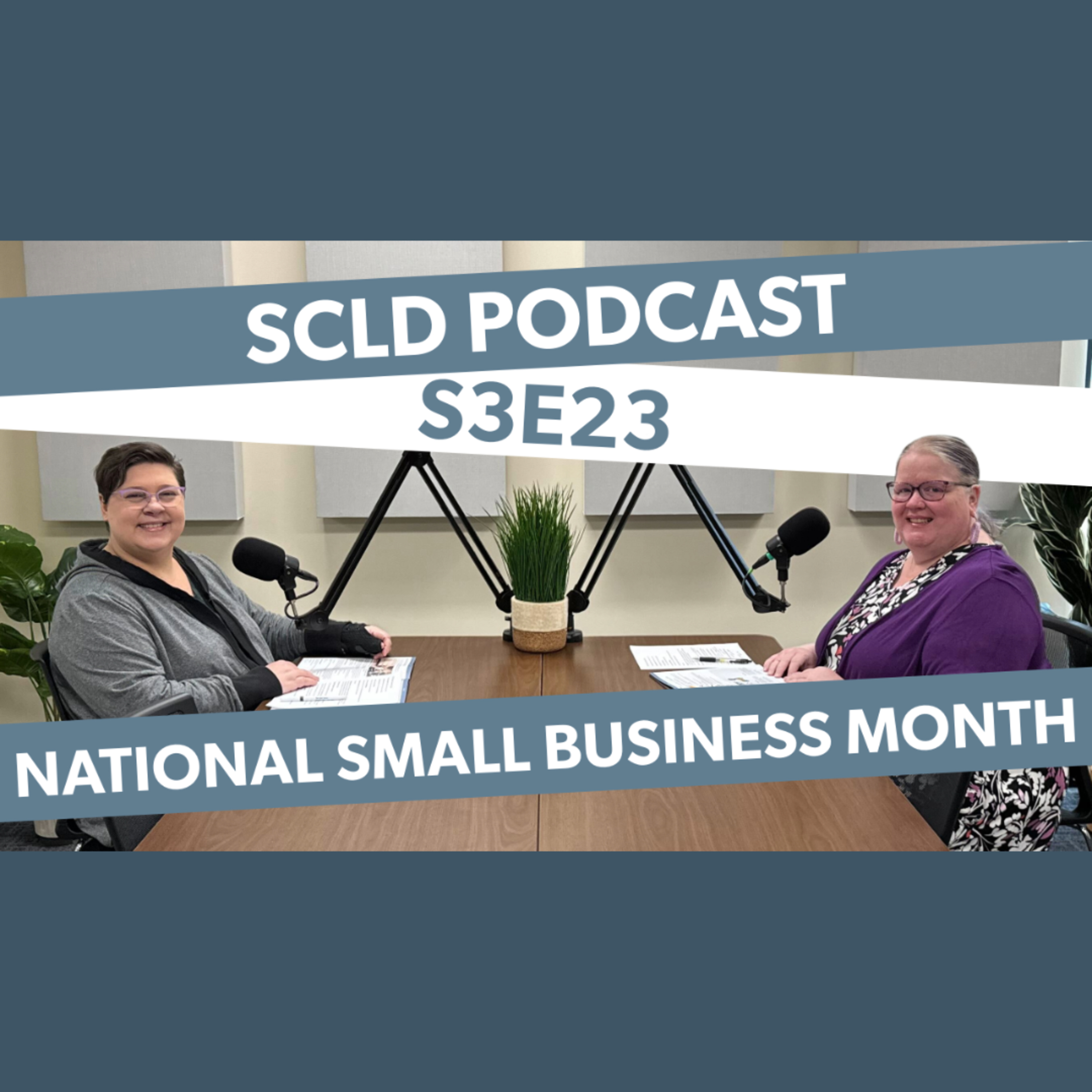 Library Out Loud: SCLD