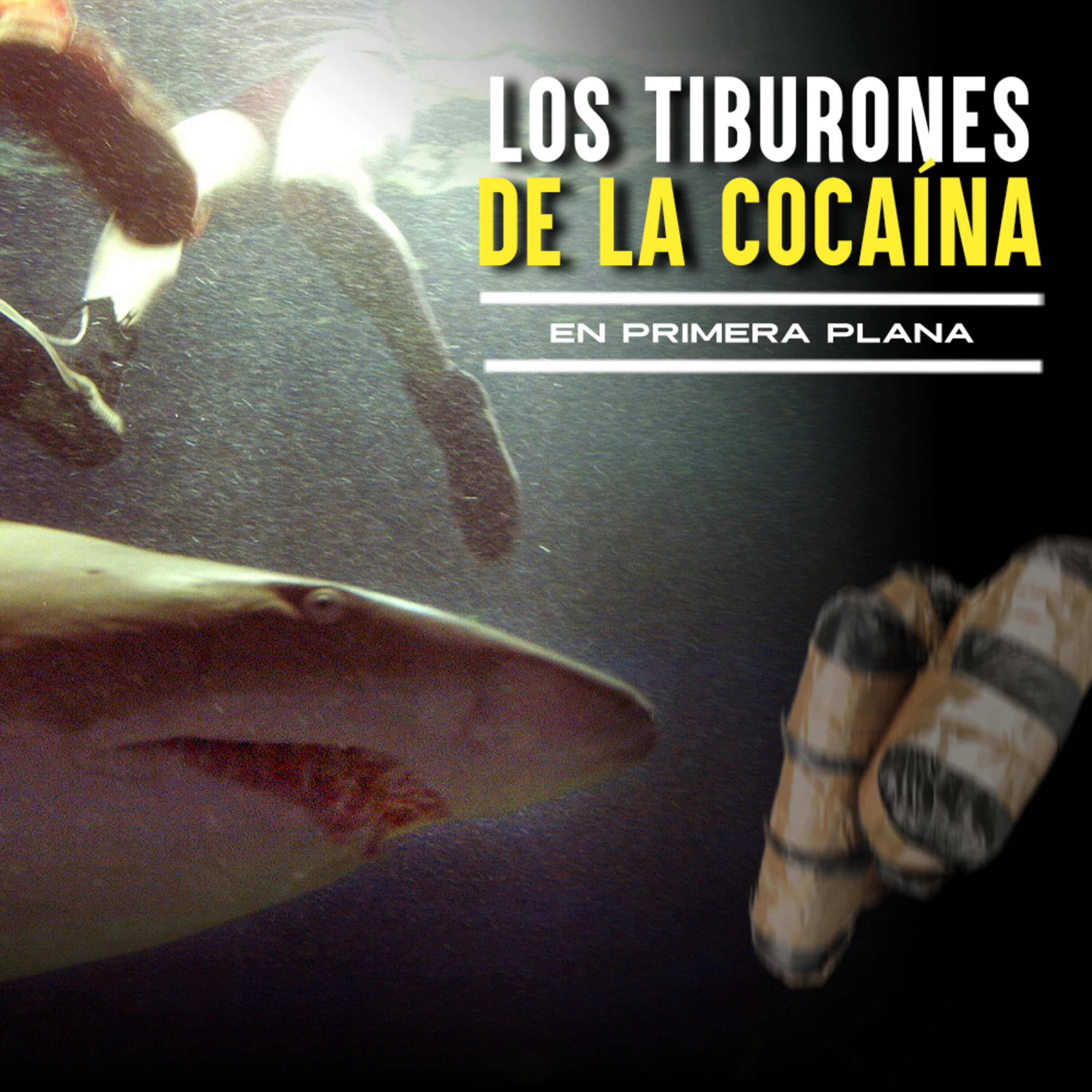 Los tiburones de la cocaína y los peces feminizados: ¿qué está pasando con el agua en EE. UU.? episode artwork