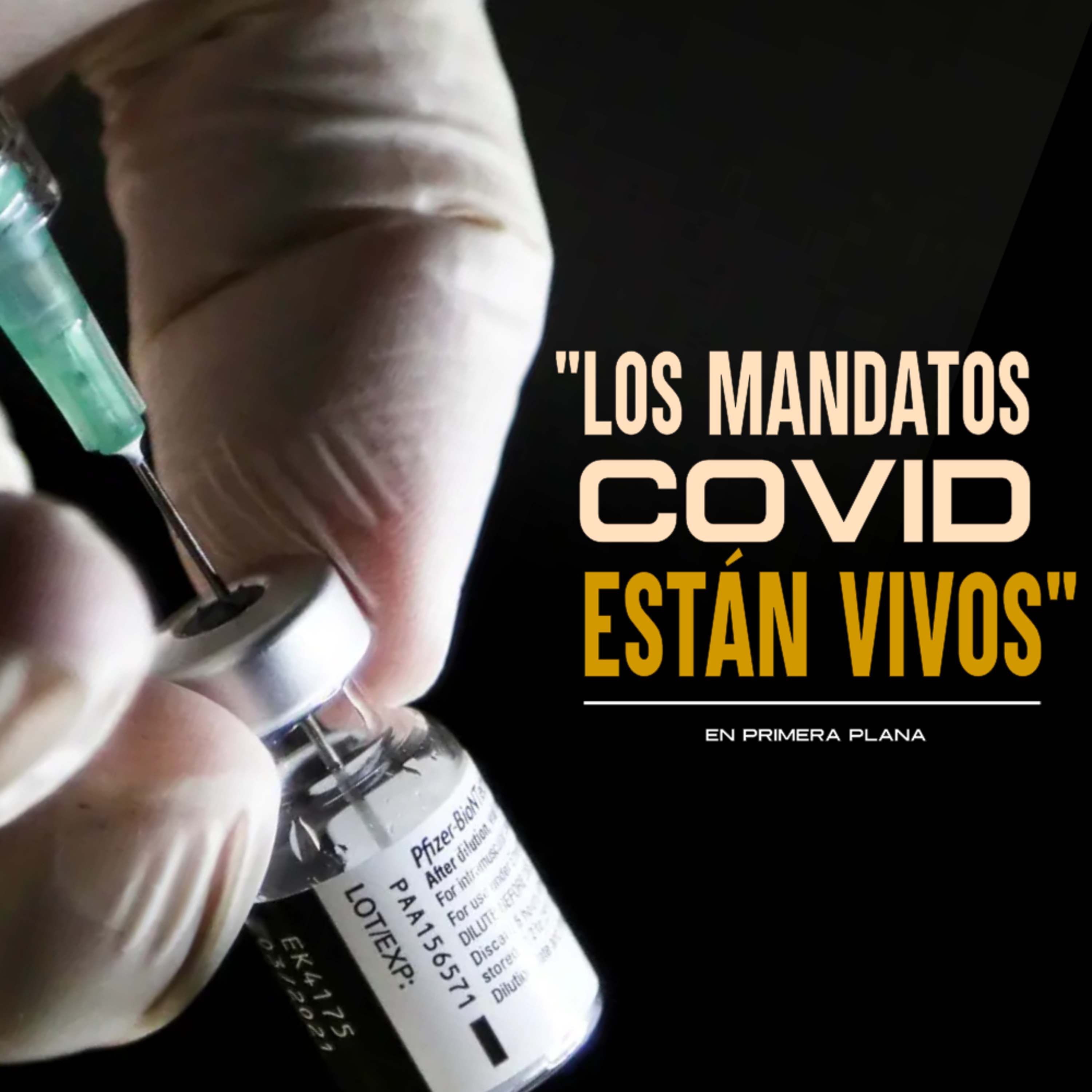 La vacunación obligatoria COVID vuelve a EE. UU. | CDC ocultó 277.000 casos de vacunados infectados episode artwork