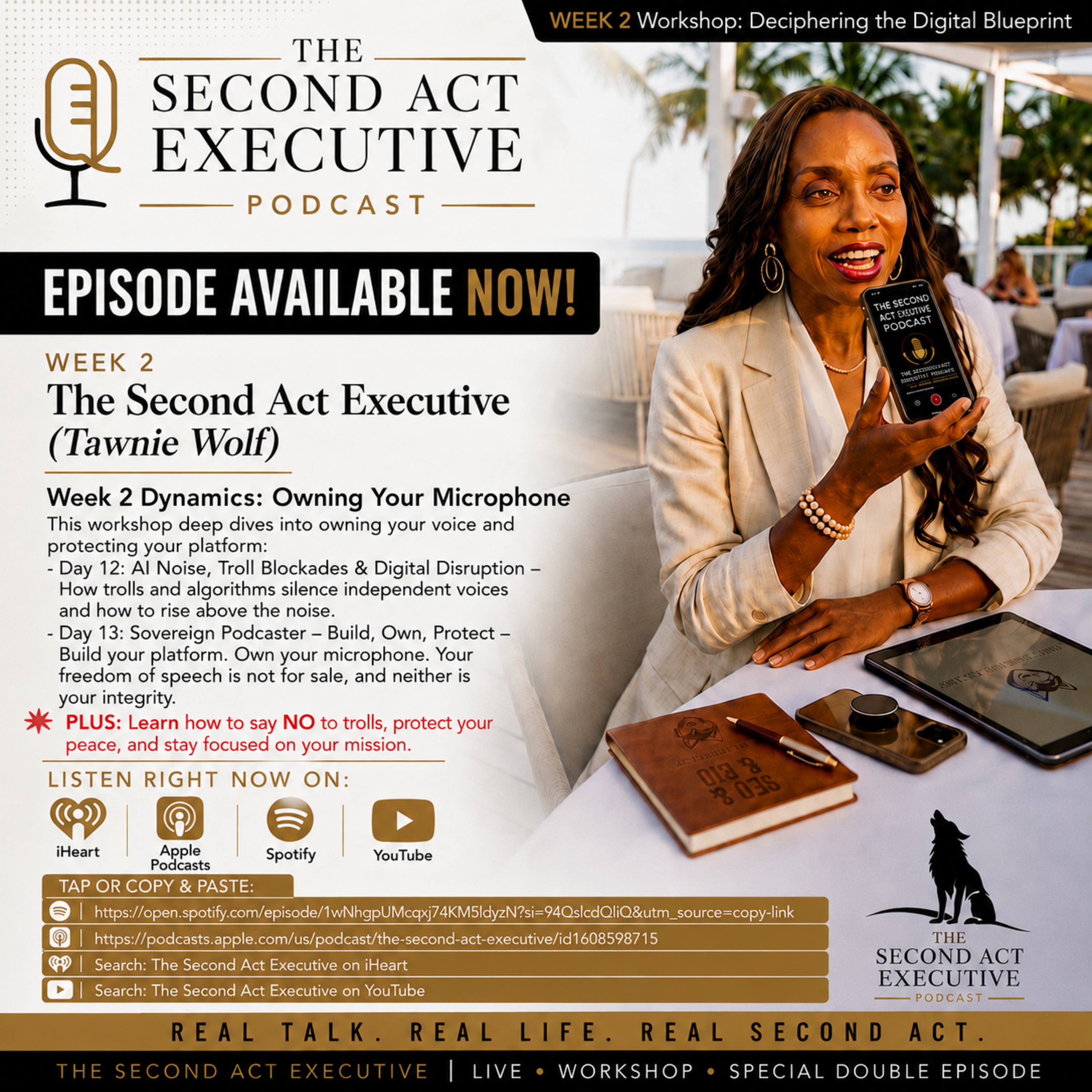 Owning Your Microphone: Navigating AI Noise, Troll Blockades, and the Sovereign Podcaster episode artwork