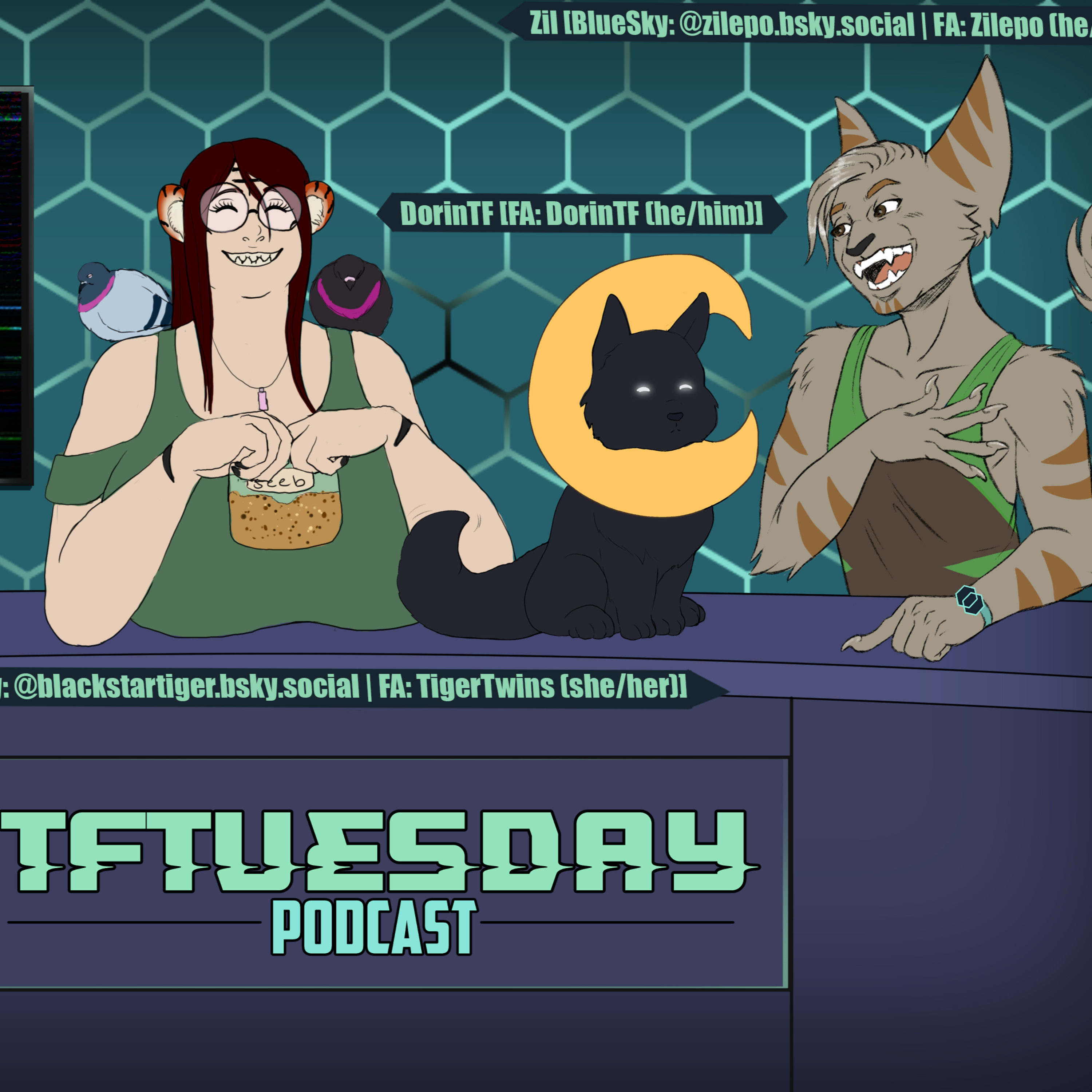 Season 9, Episode 11 - AITA, TF Edition (ft. TigerTwins & DorinTF) episode artwork