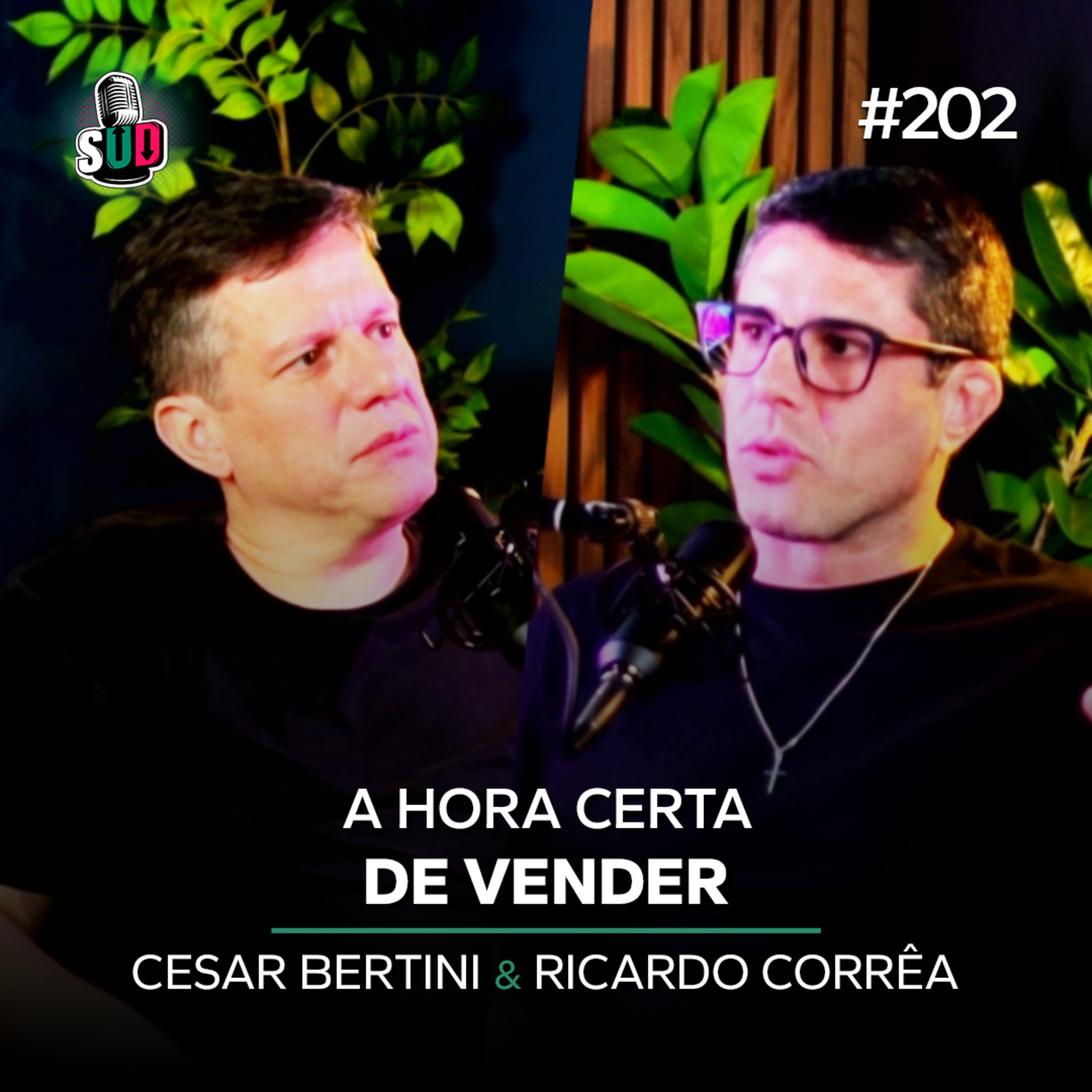 EP 202 - Como saber a hora certa de vender a empresa episode artwork