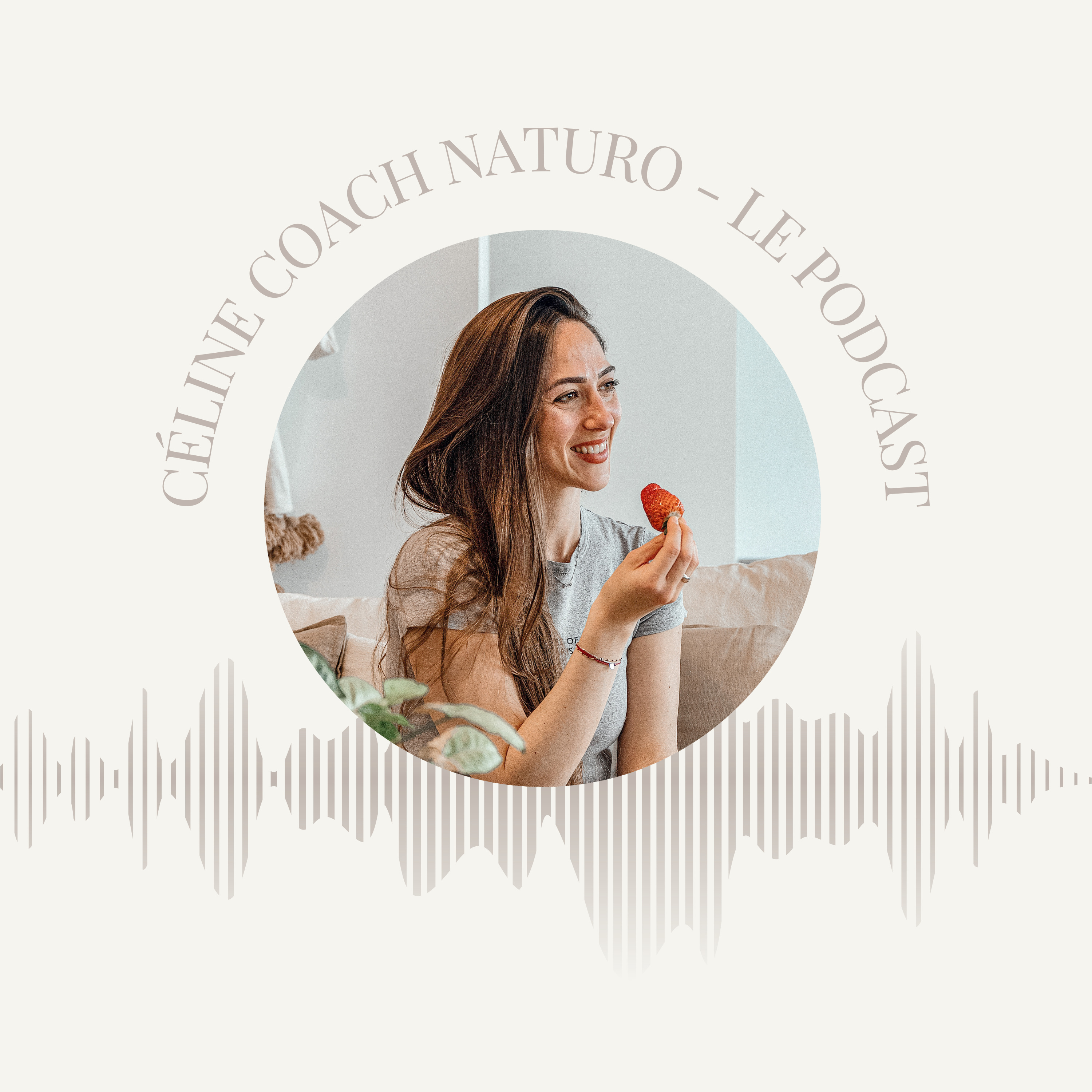 La saison 2 est lancée !