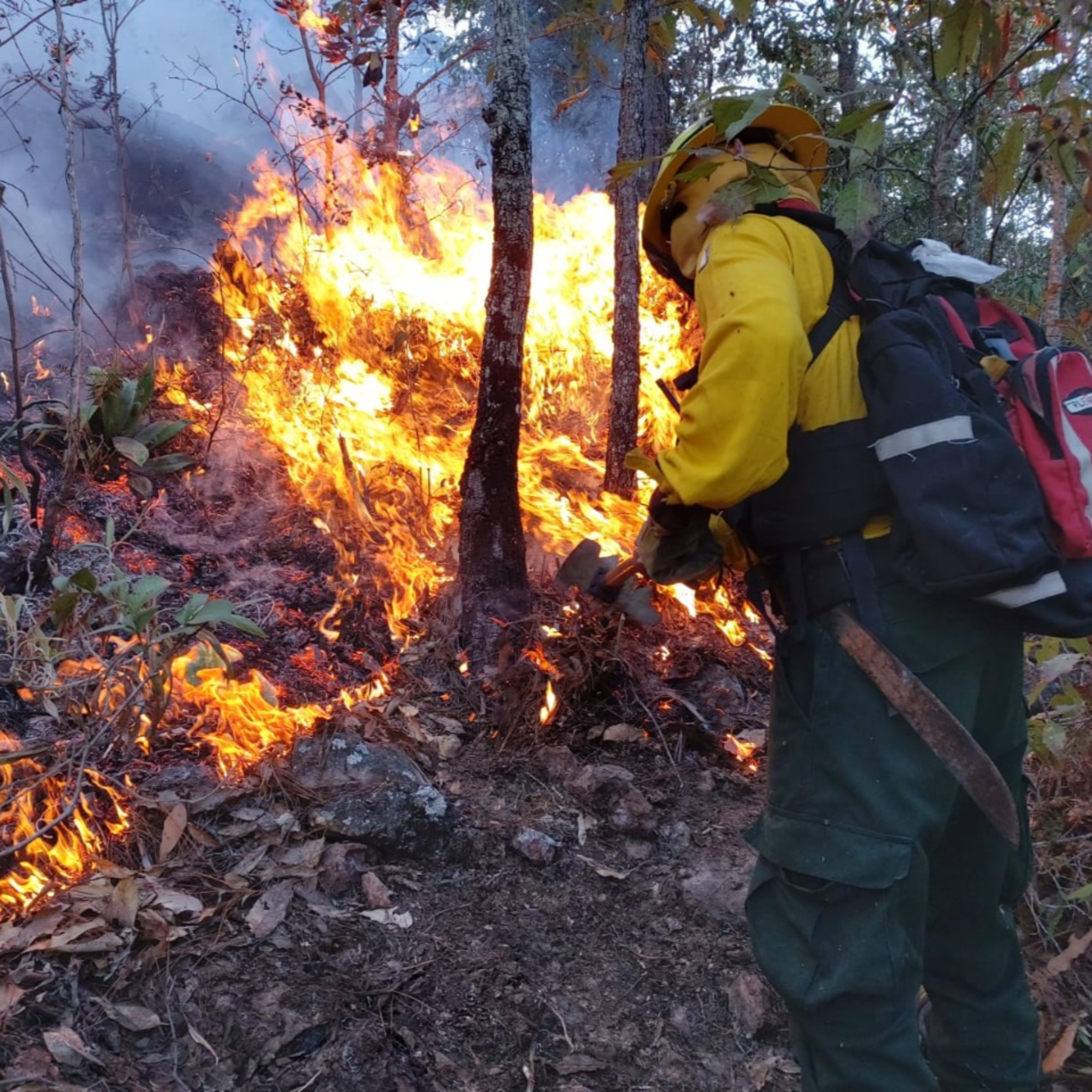 Se han registrado varios incendios forestales en el departamento de San Marcos episode artwork