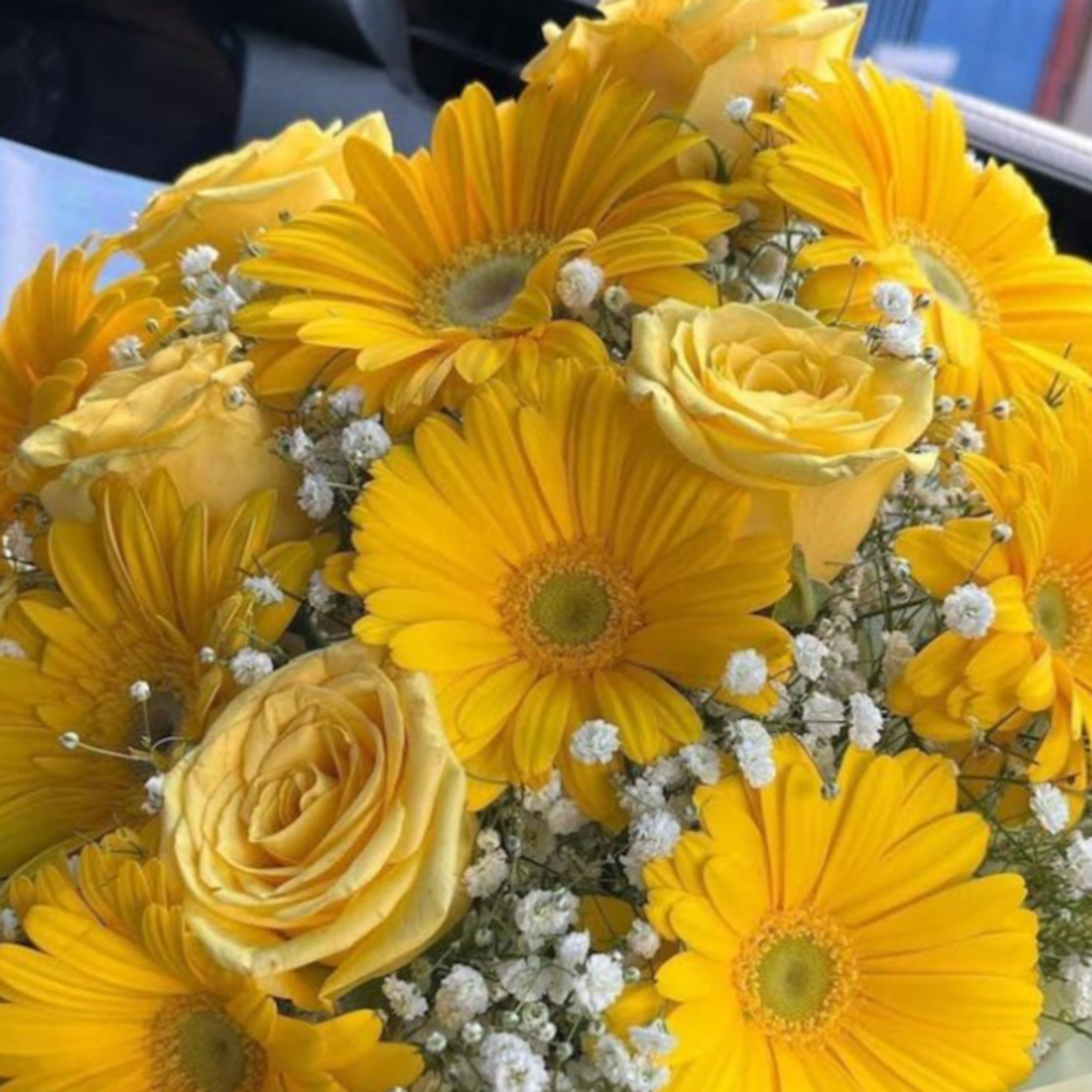 Por qué regalan flores amarillas hoy 21 de septiembre en el mundo episode artwork