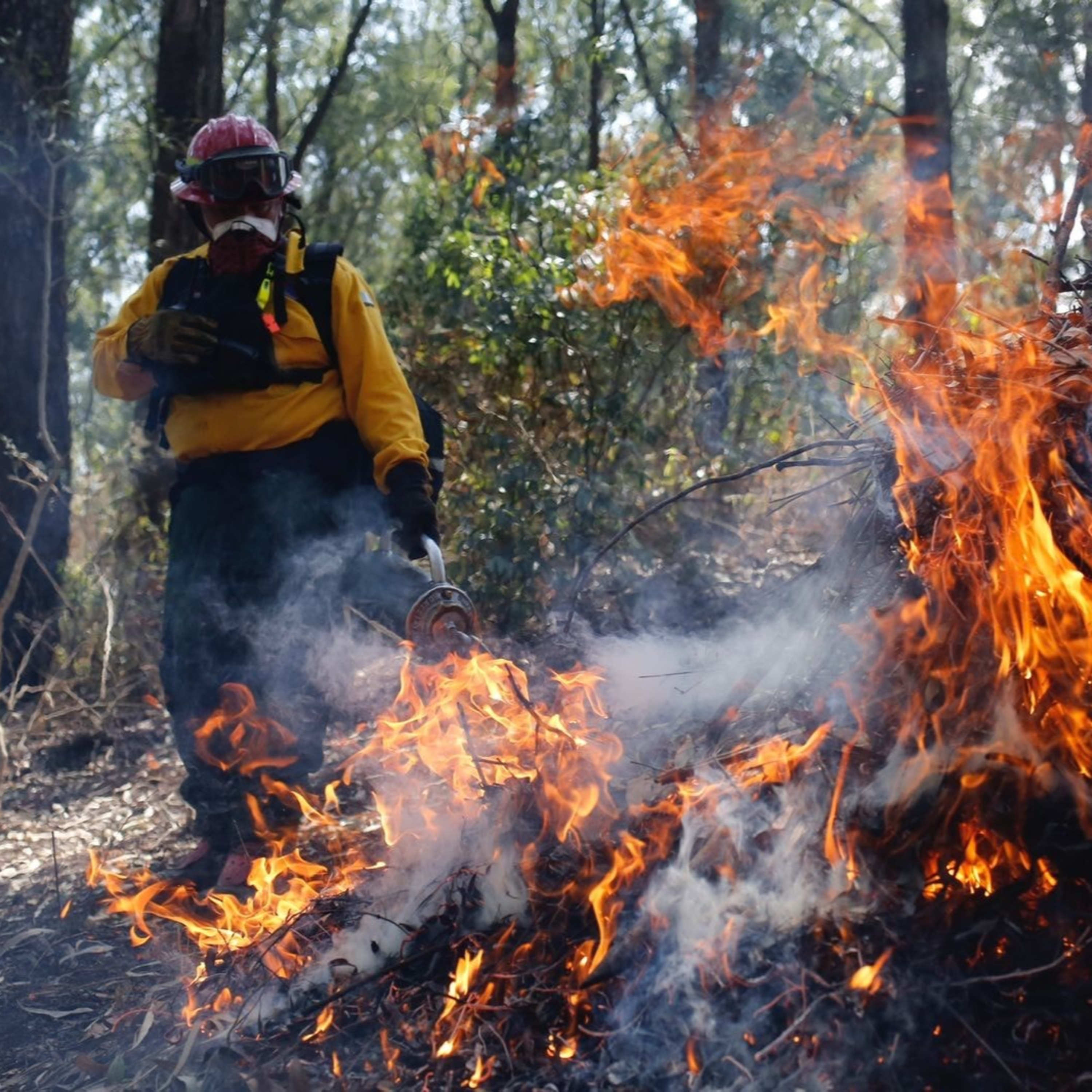 Se realiza campaña de prevención de incendios forestales; el departamento de San Marcos se encuentra en alerta amarilla en esta temporada. episode artwork