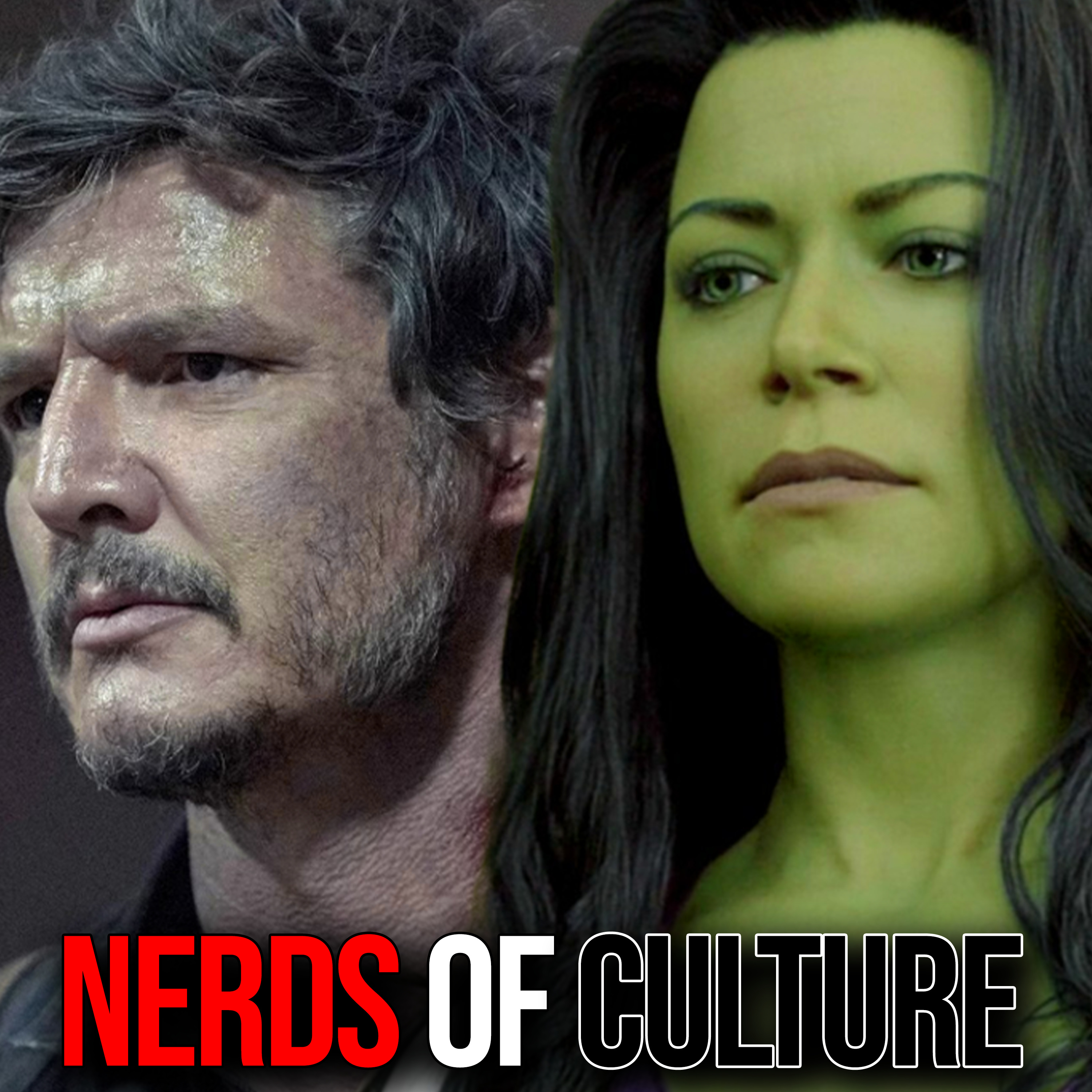 Nerds of Culture 74 | And That's Why Bigots Hate Your Favorites episode artwork