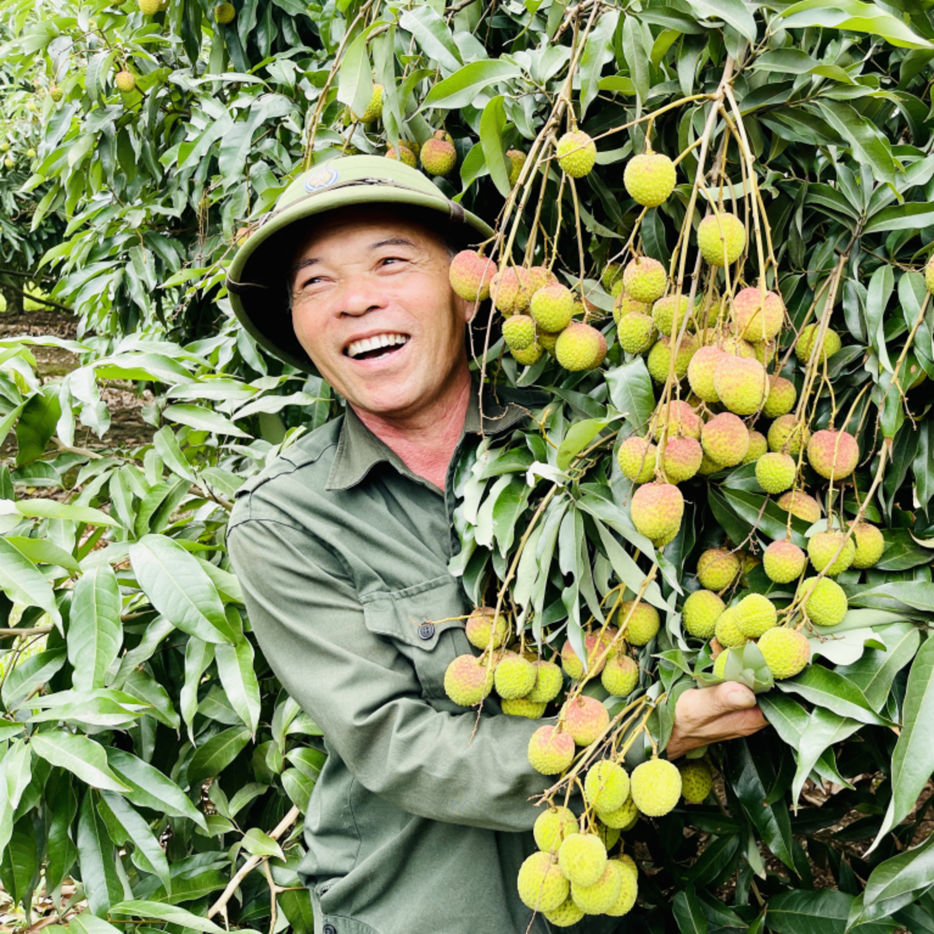 Quang Ninh Podcast