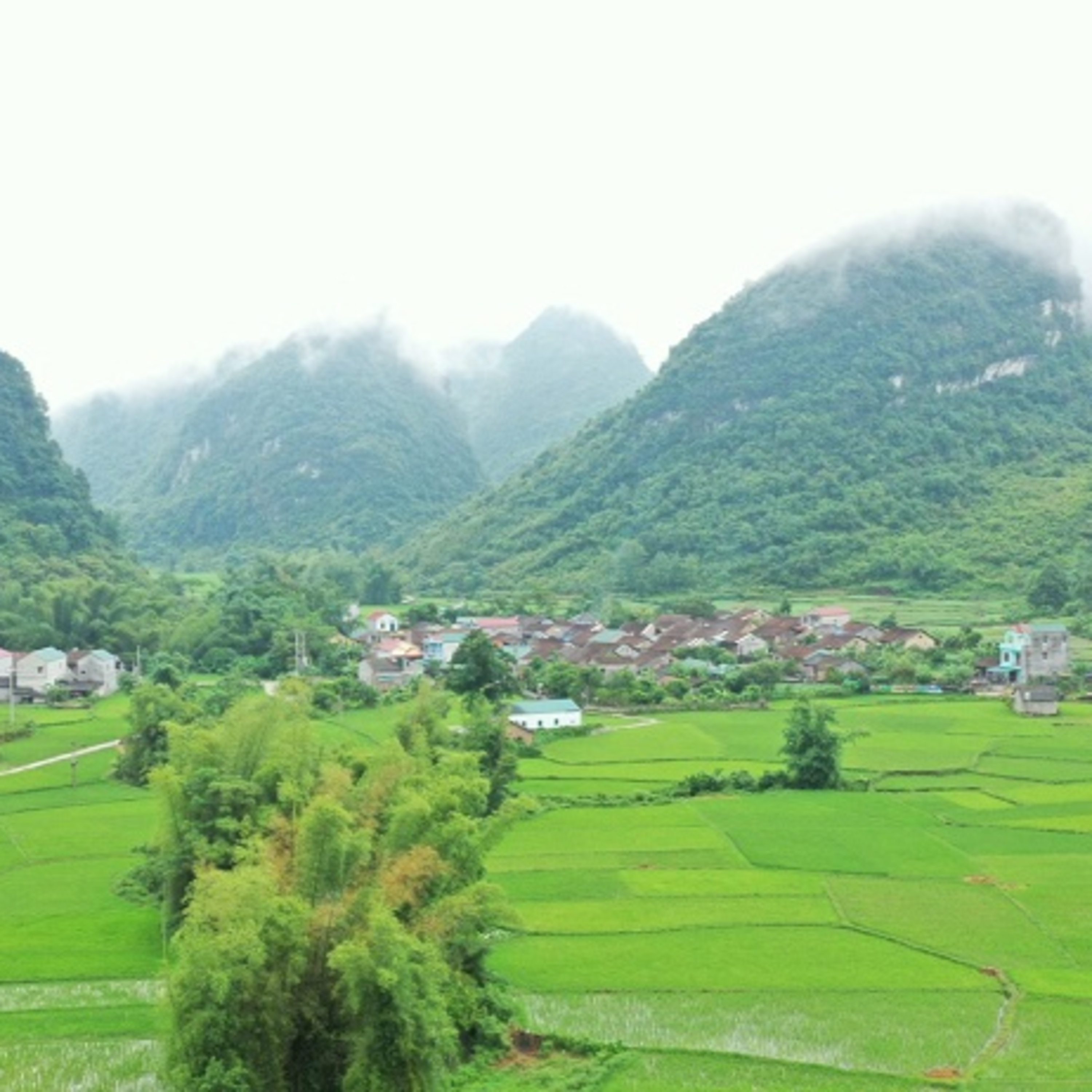 Quang Ninh Podcast