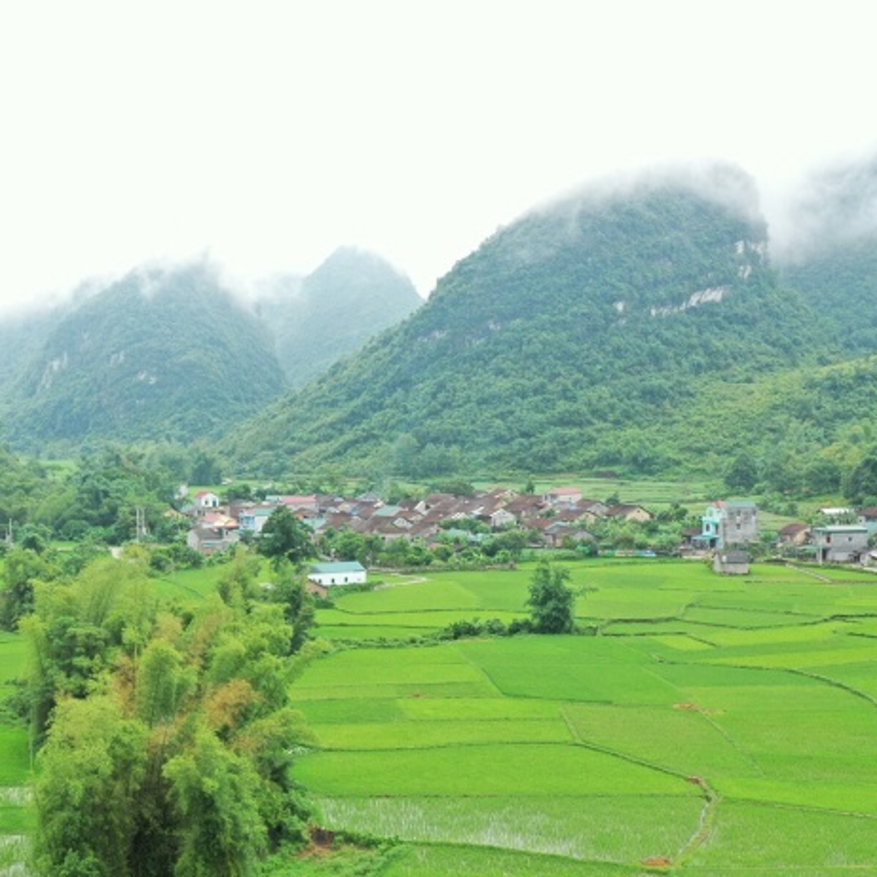 Quang Ninh Podcast