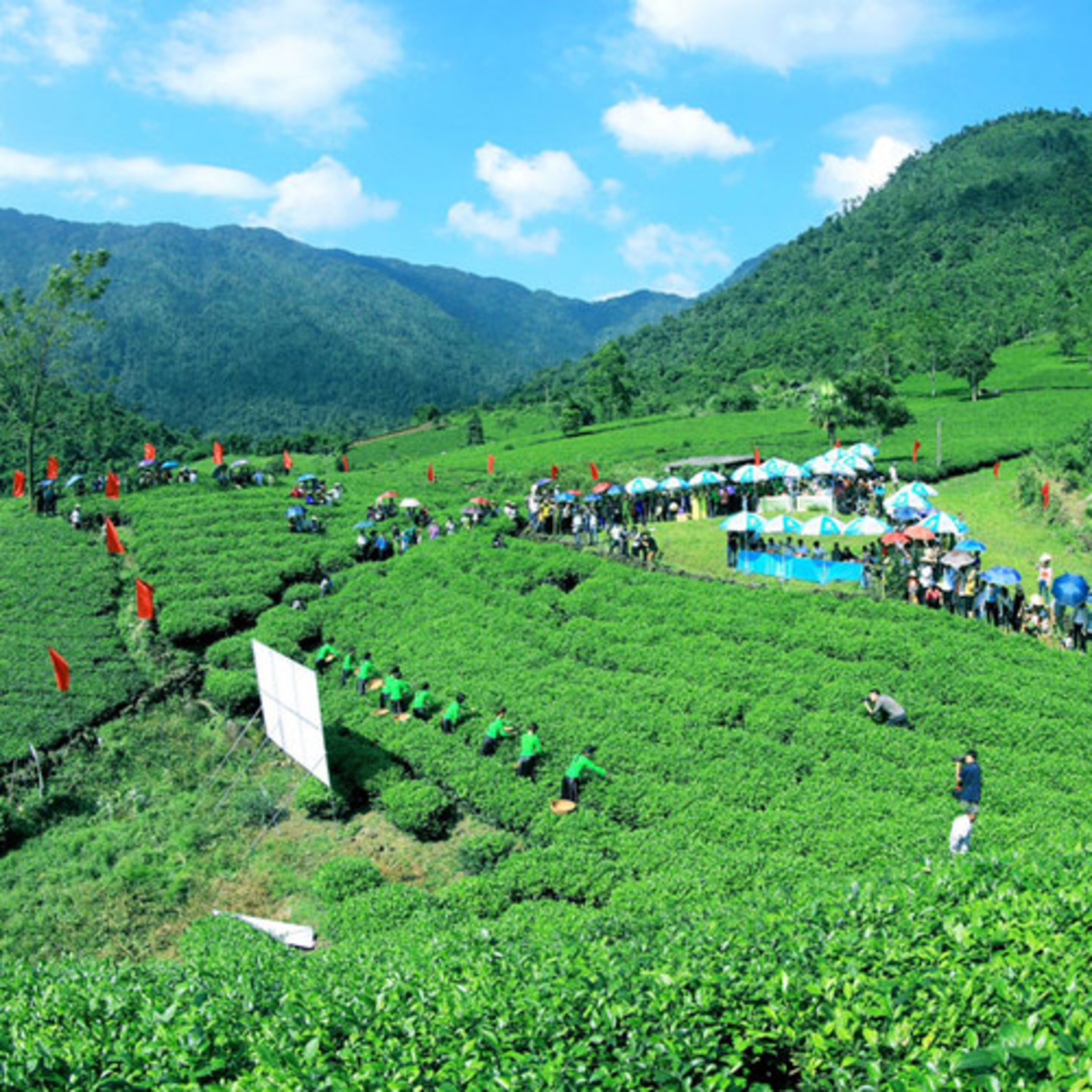 Quang Ninh Podcast