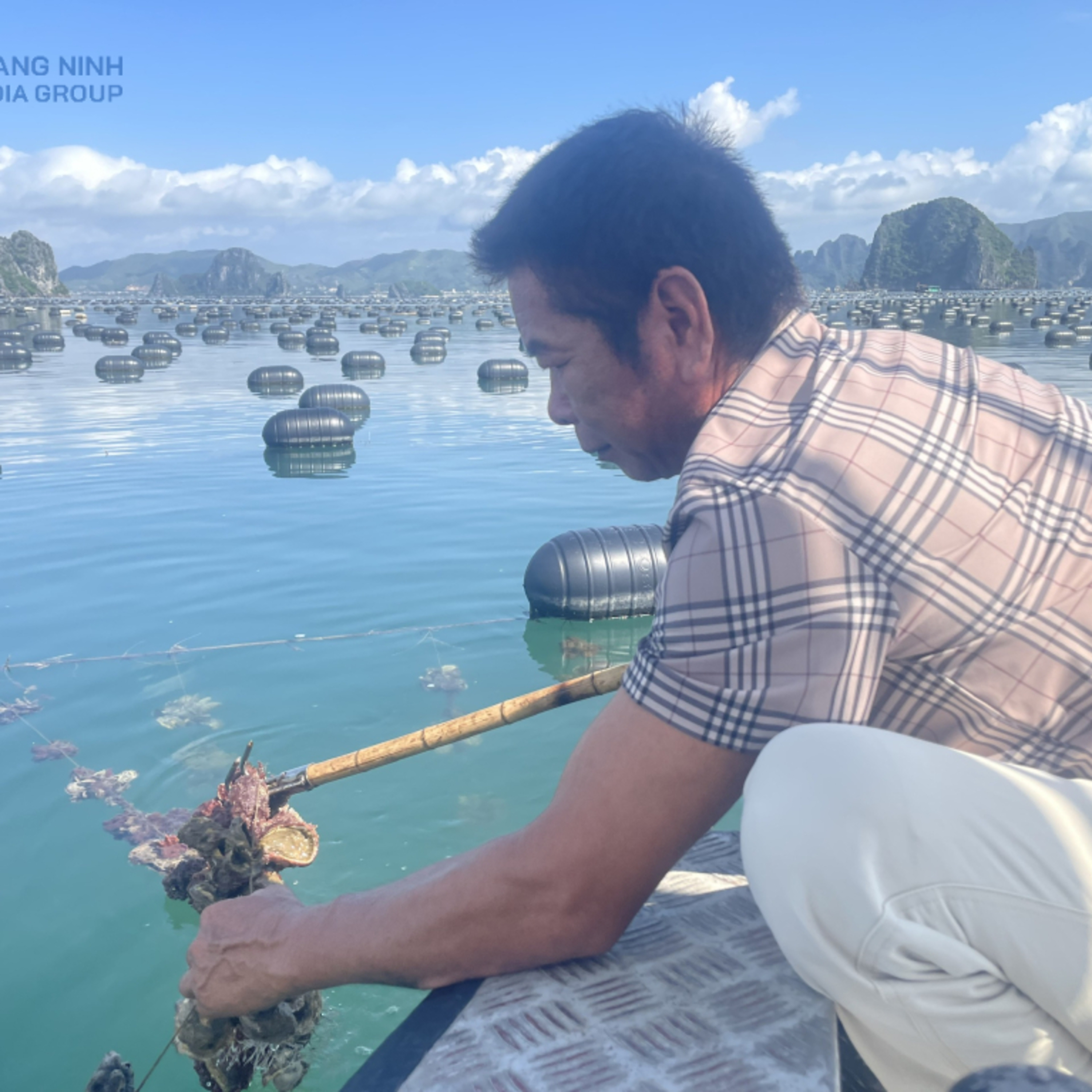 Quang Ninh Podcast