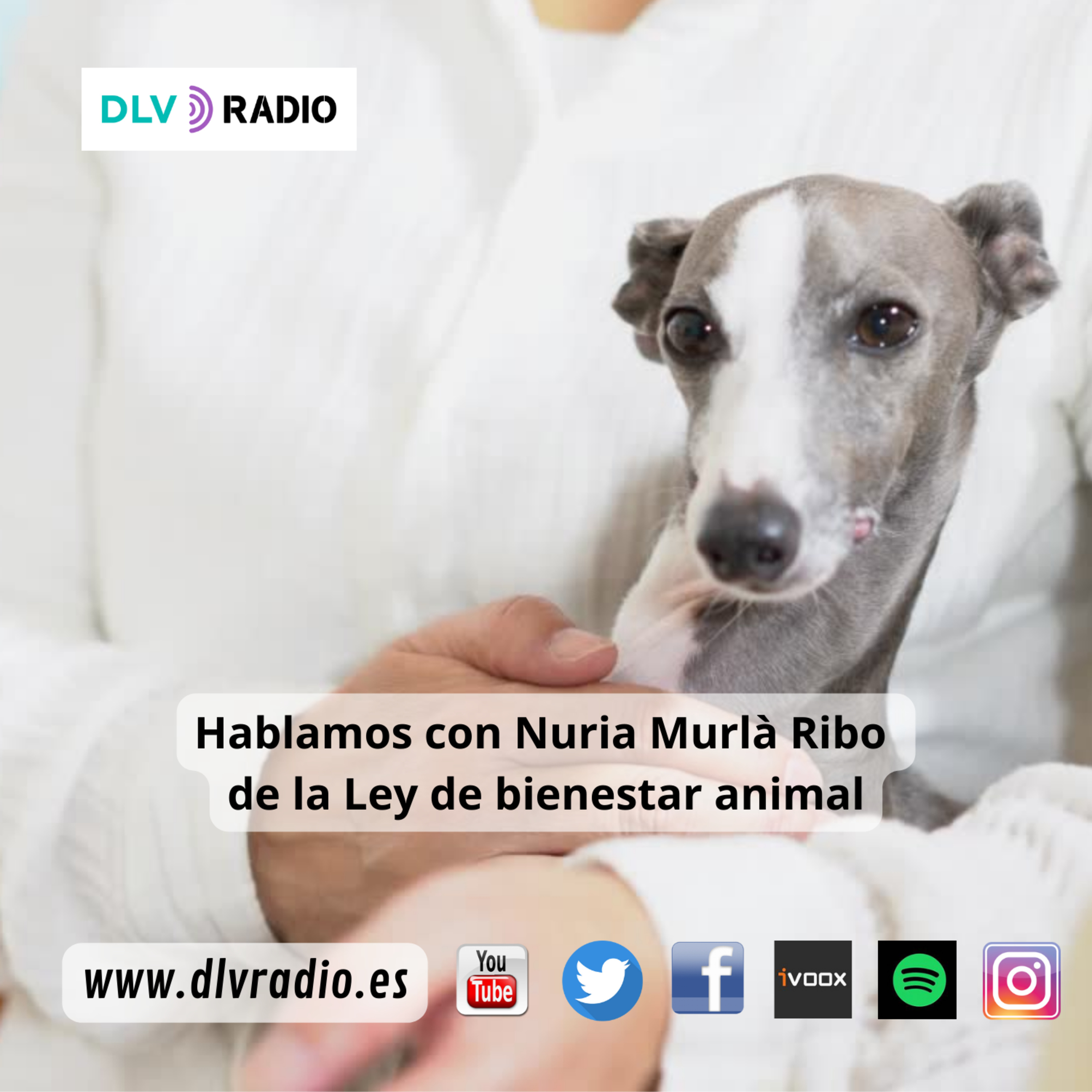 Hablamos con Nuria Murlà Ribò de la Ley de bienestar animal