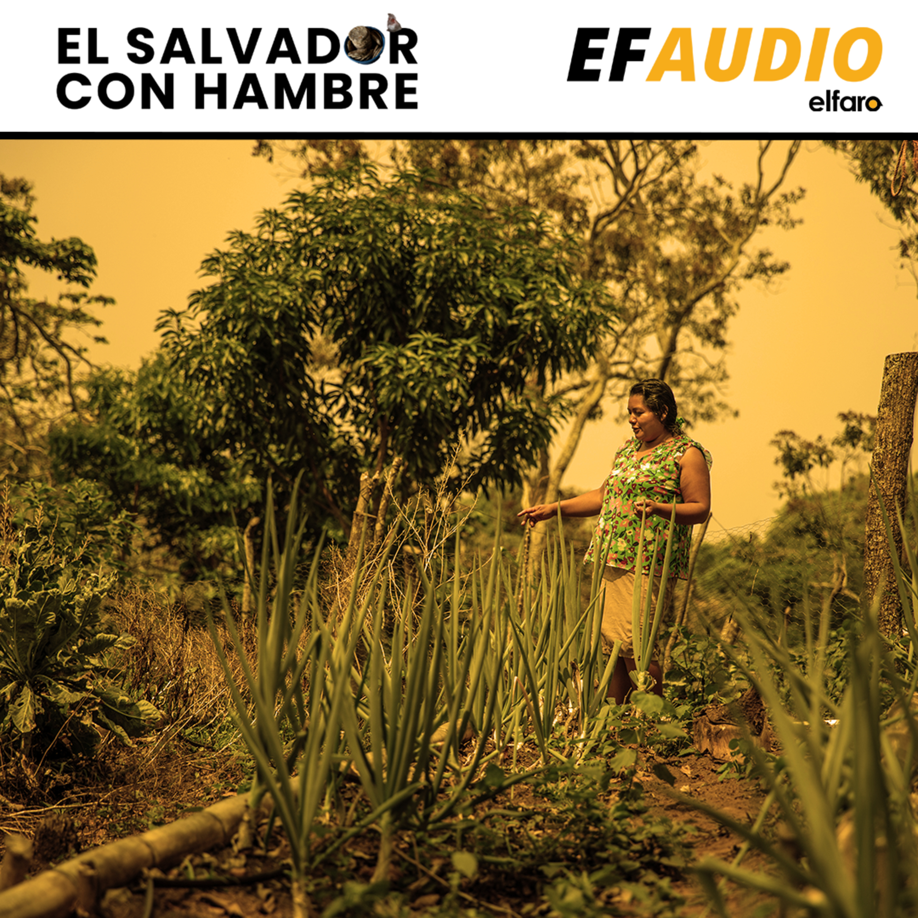 El hambre y la futura arquitecta episode artwork