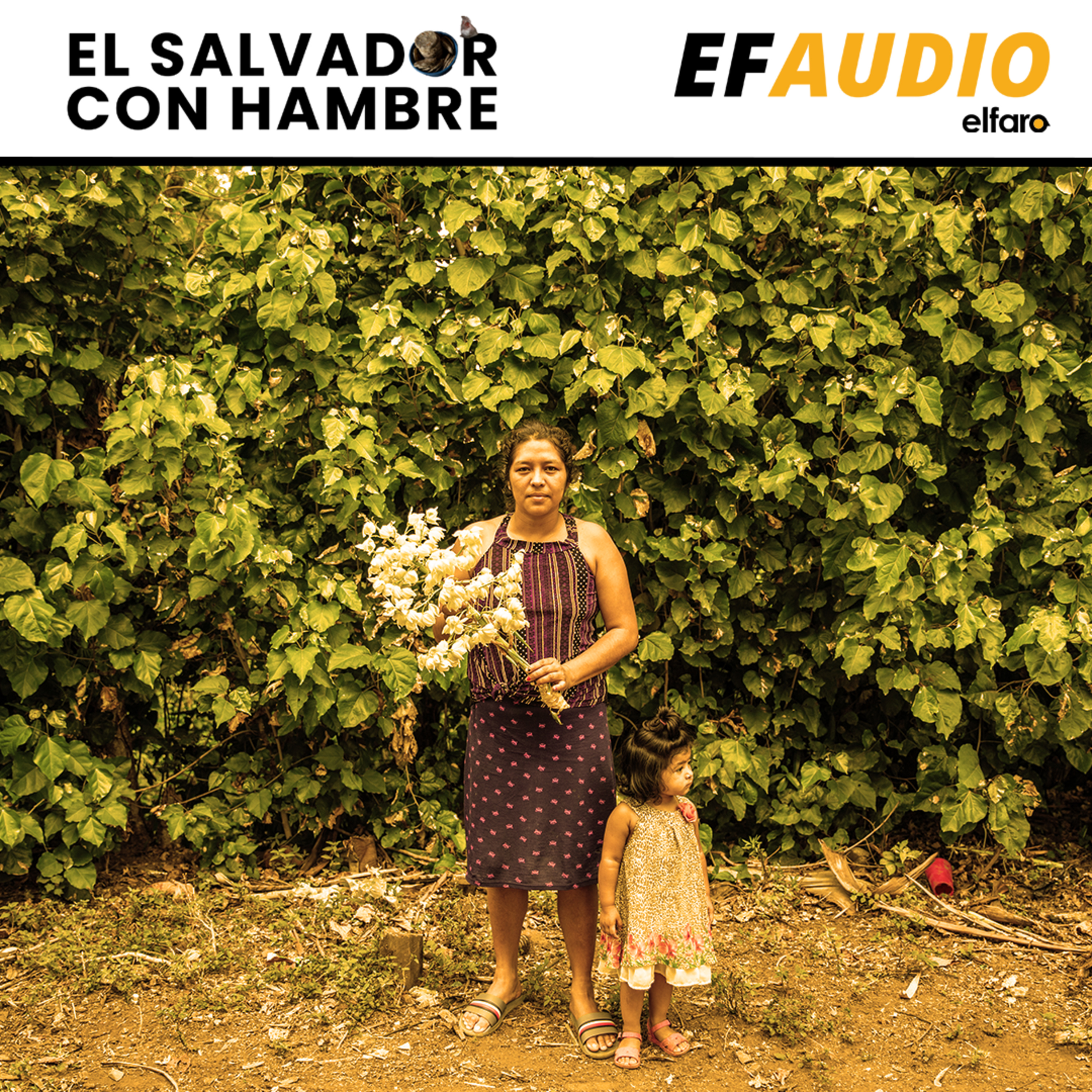 La dieta de Fanny: guineos, sopa de chipilín, flor de izote episode artwork
