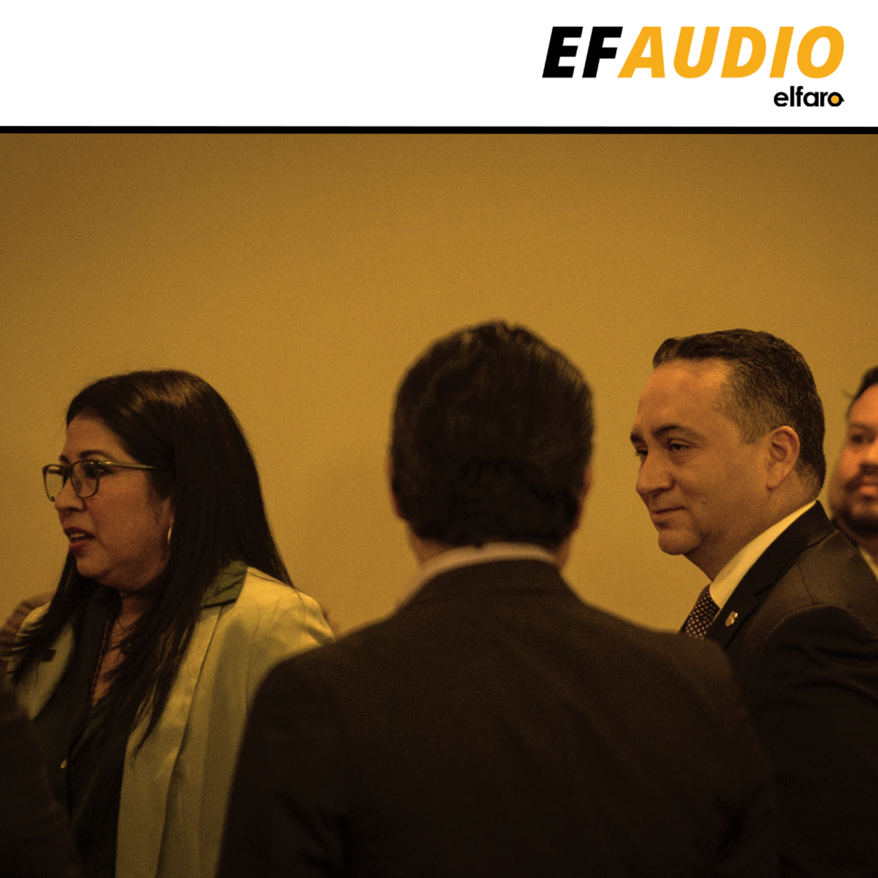 Presidenta TSE: “No descartamos hayan intervenido para que las cosas sucedieran como sucedieron” episode artwork