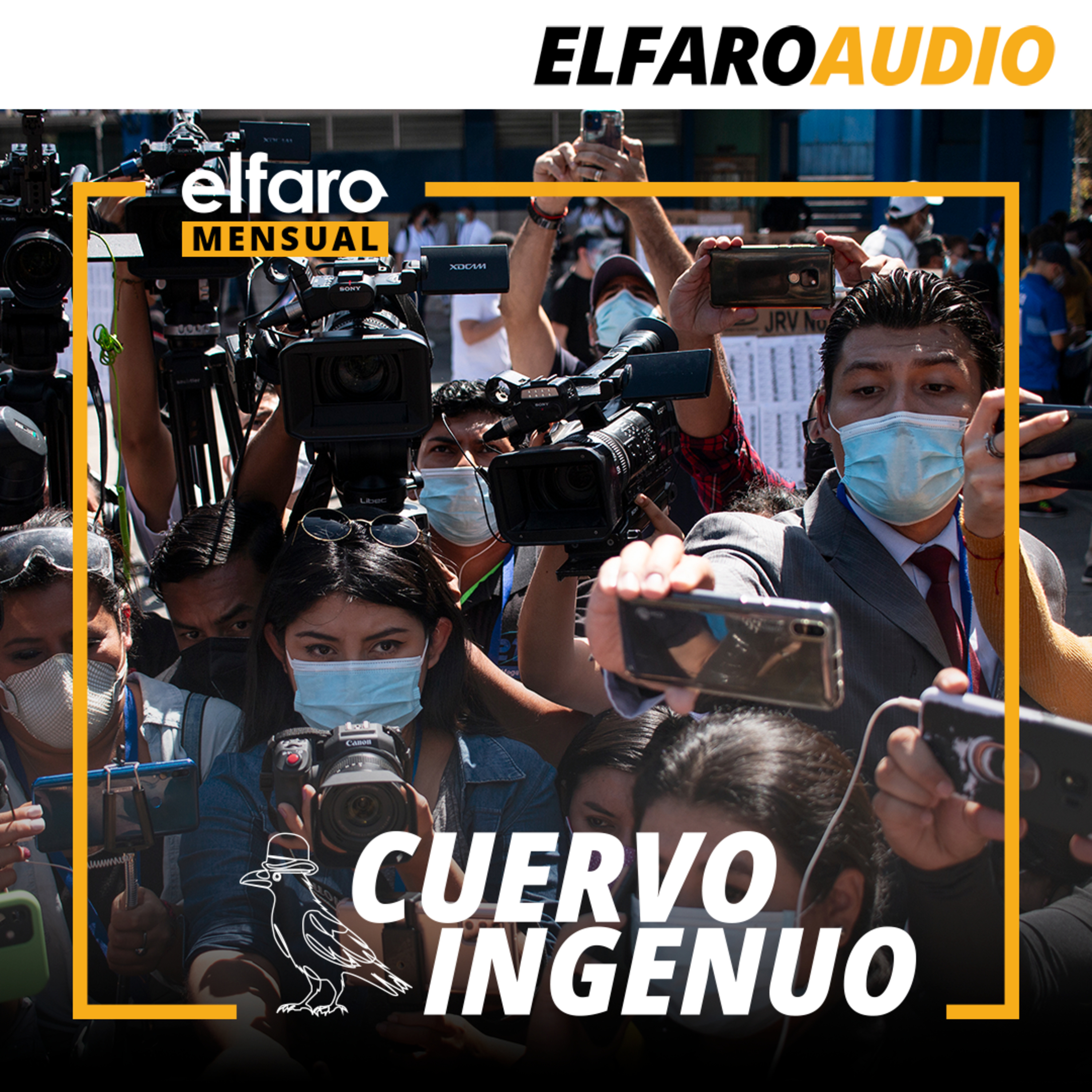 Cuervo ingenuo | Esta orilla episode artwork