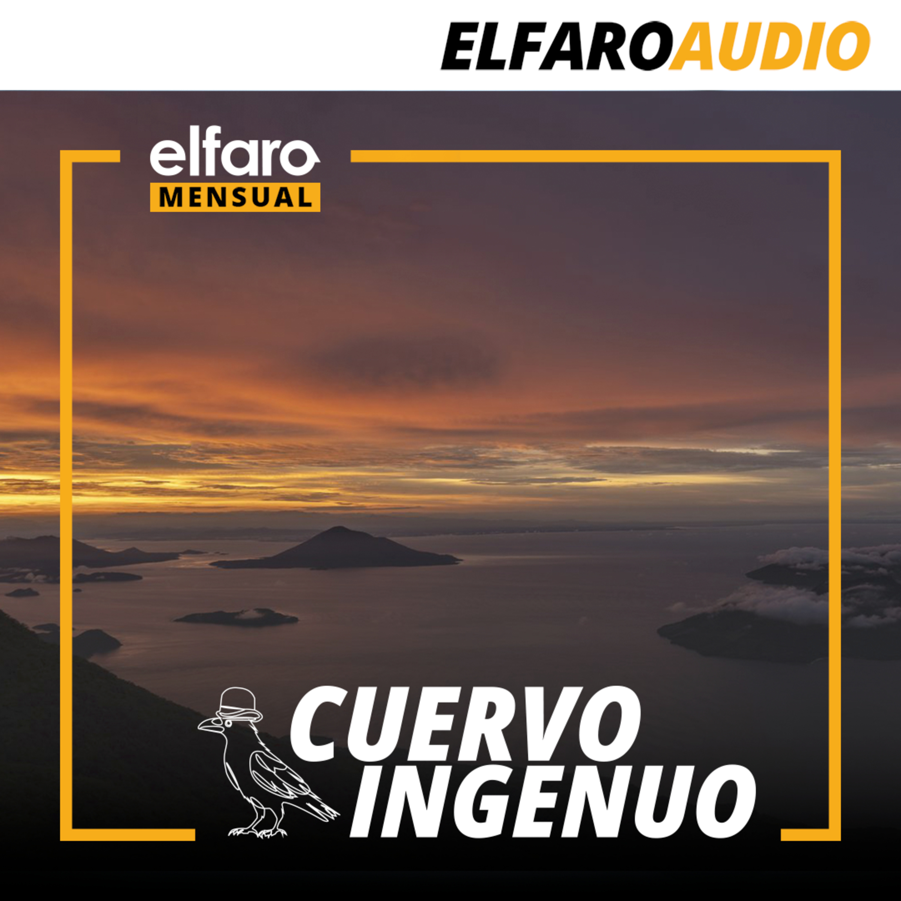 Cuervo ingenuo | Volver