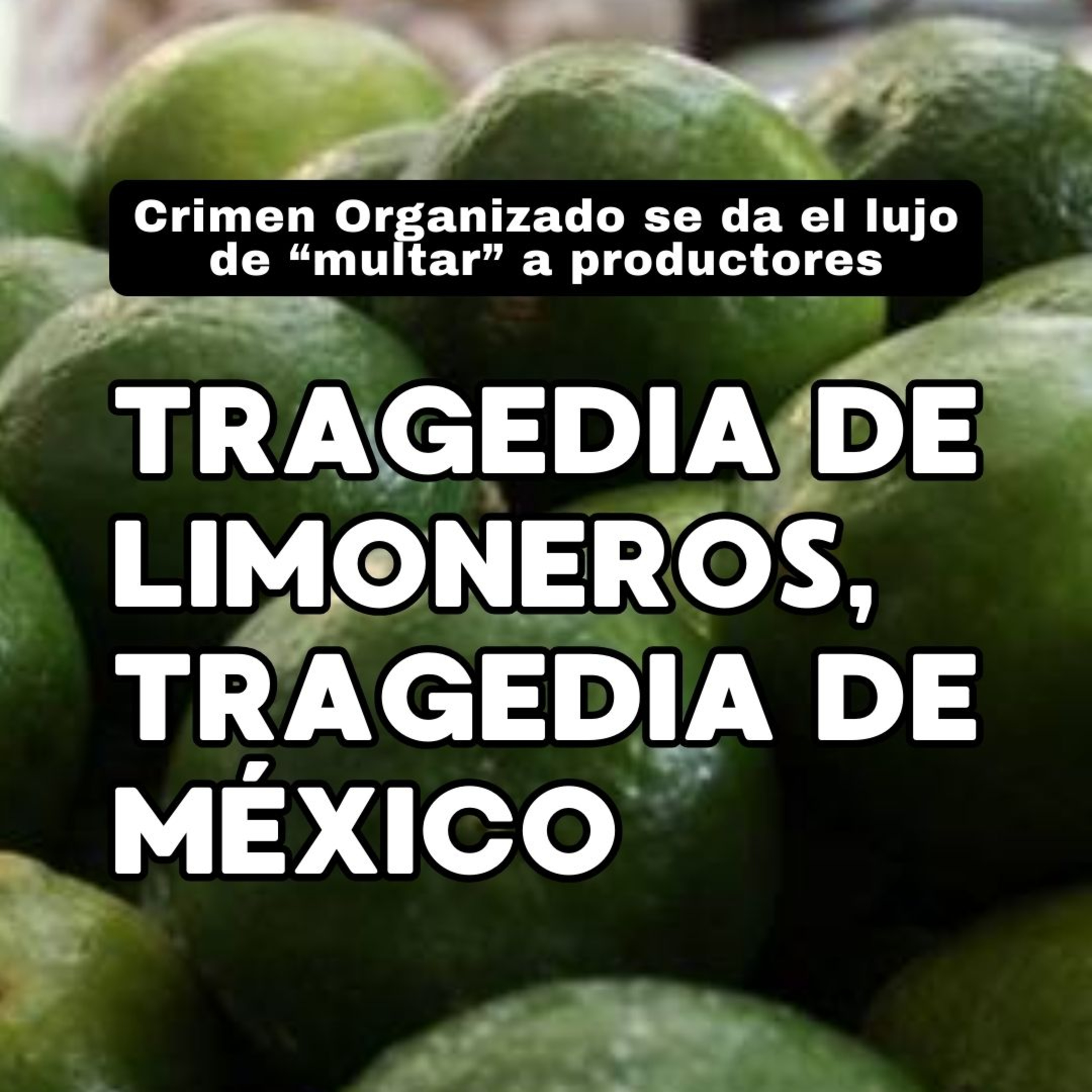 El Reportero