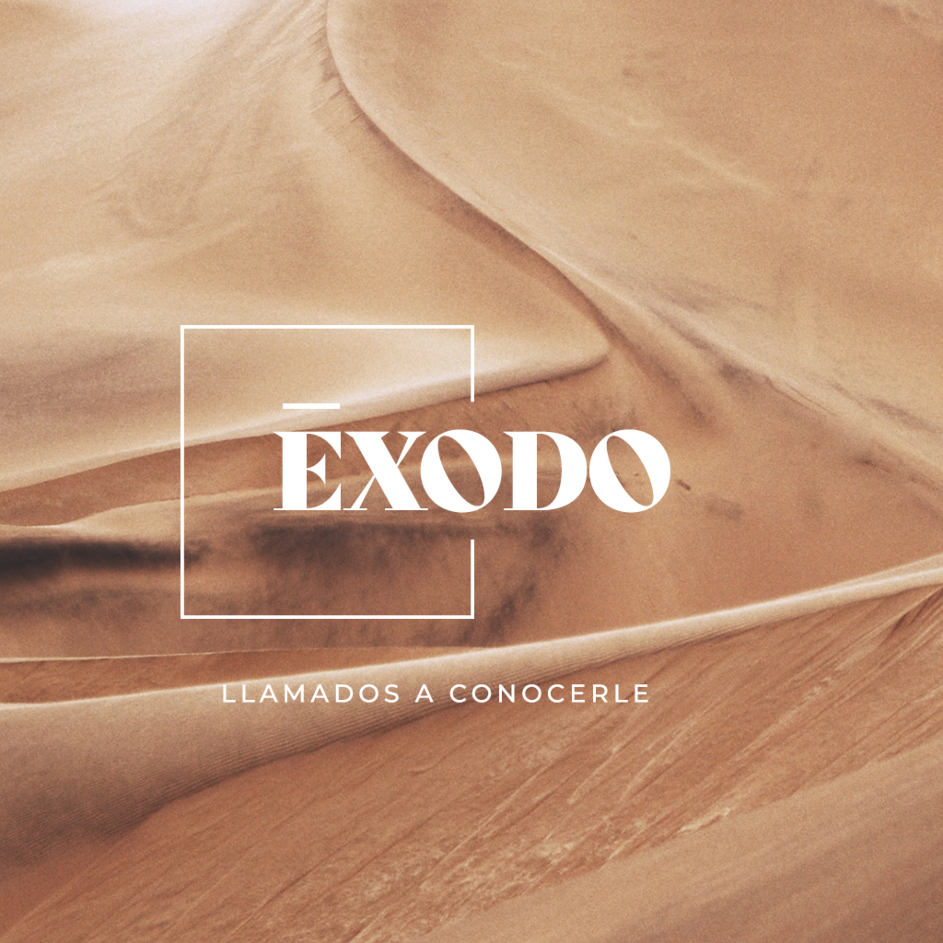 Portada de Semilla de Mostaza Baz