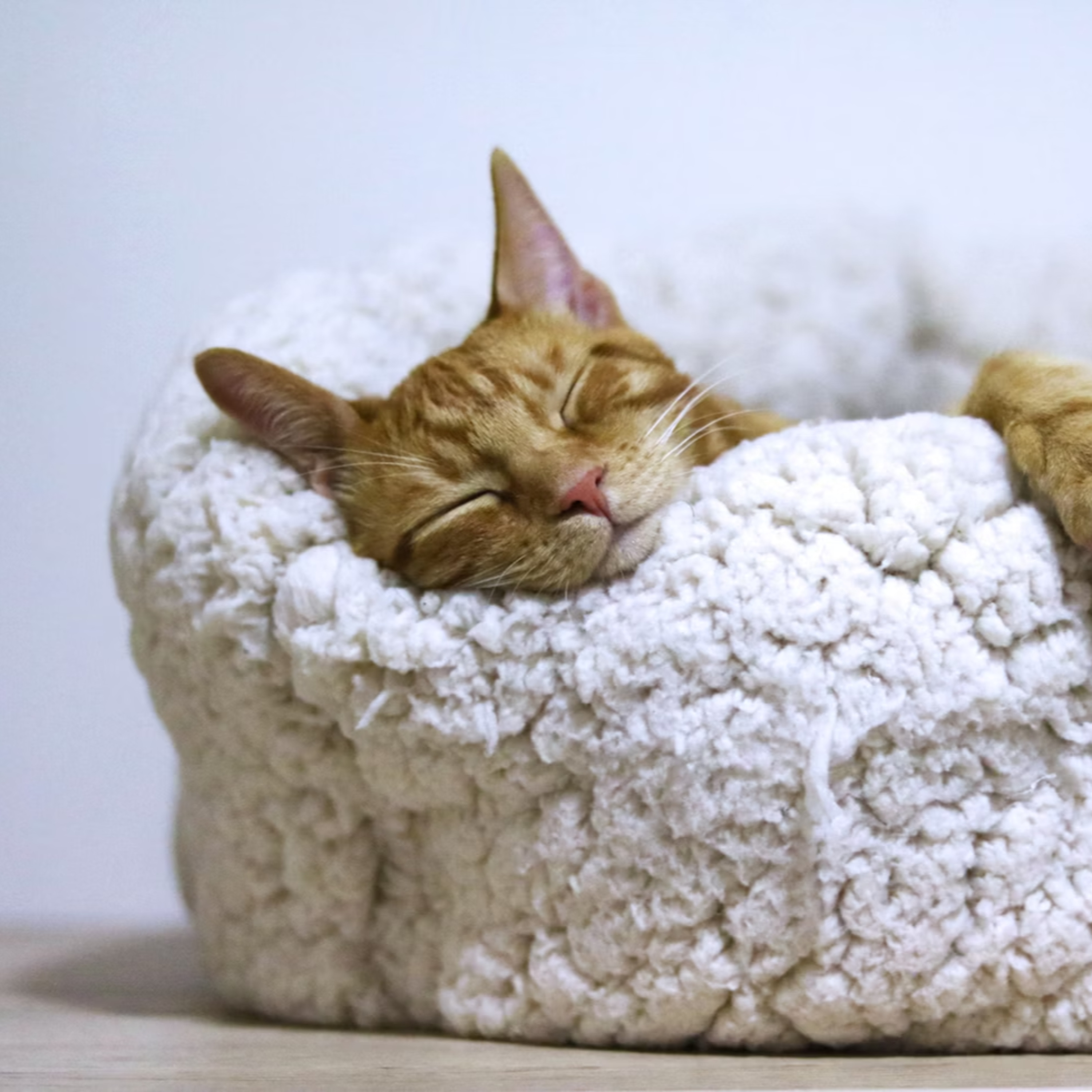 休むのも仕事のうち：生き延びるのを仕事とする