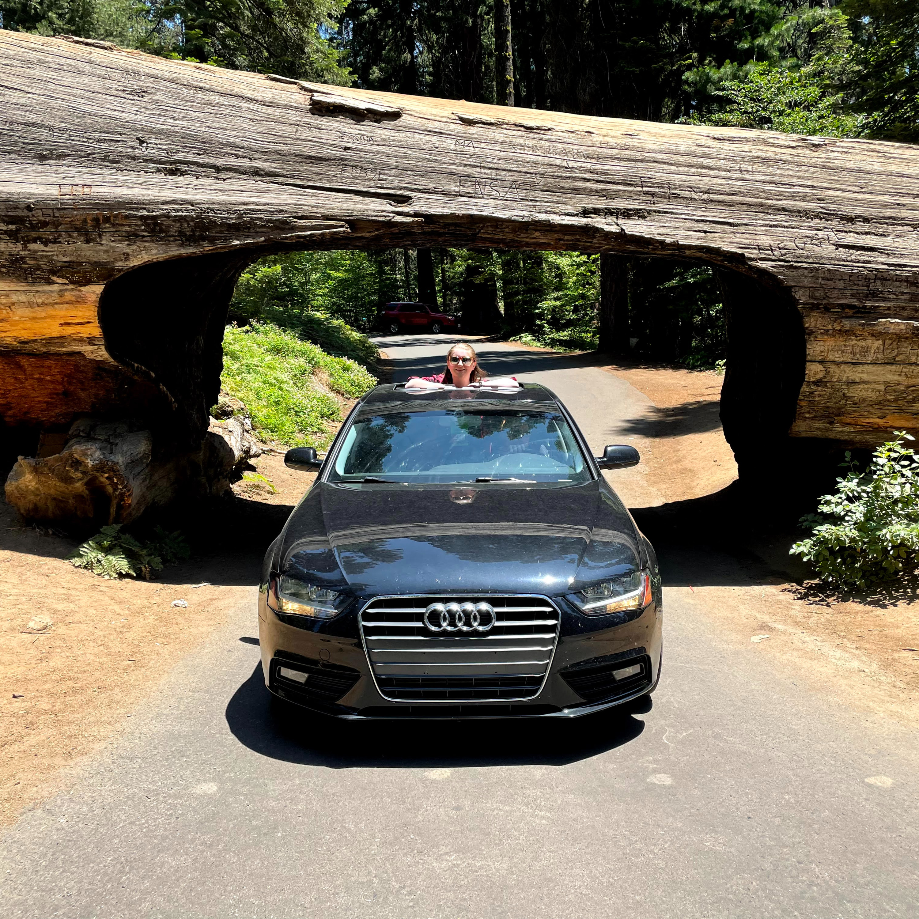 Ep. 76 - Exploring Sequoia & Kings Canyon National Parks episode artwork