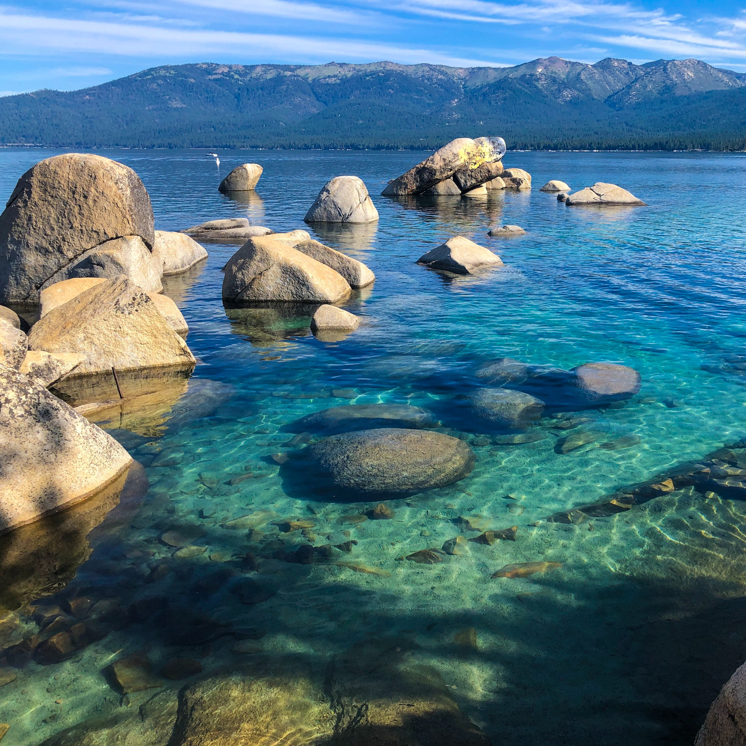Ep. 98 - A Family Vacation Guide to Lake Tahoe episode artwork