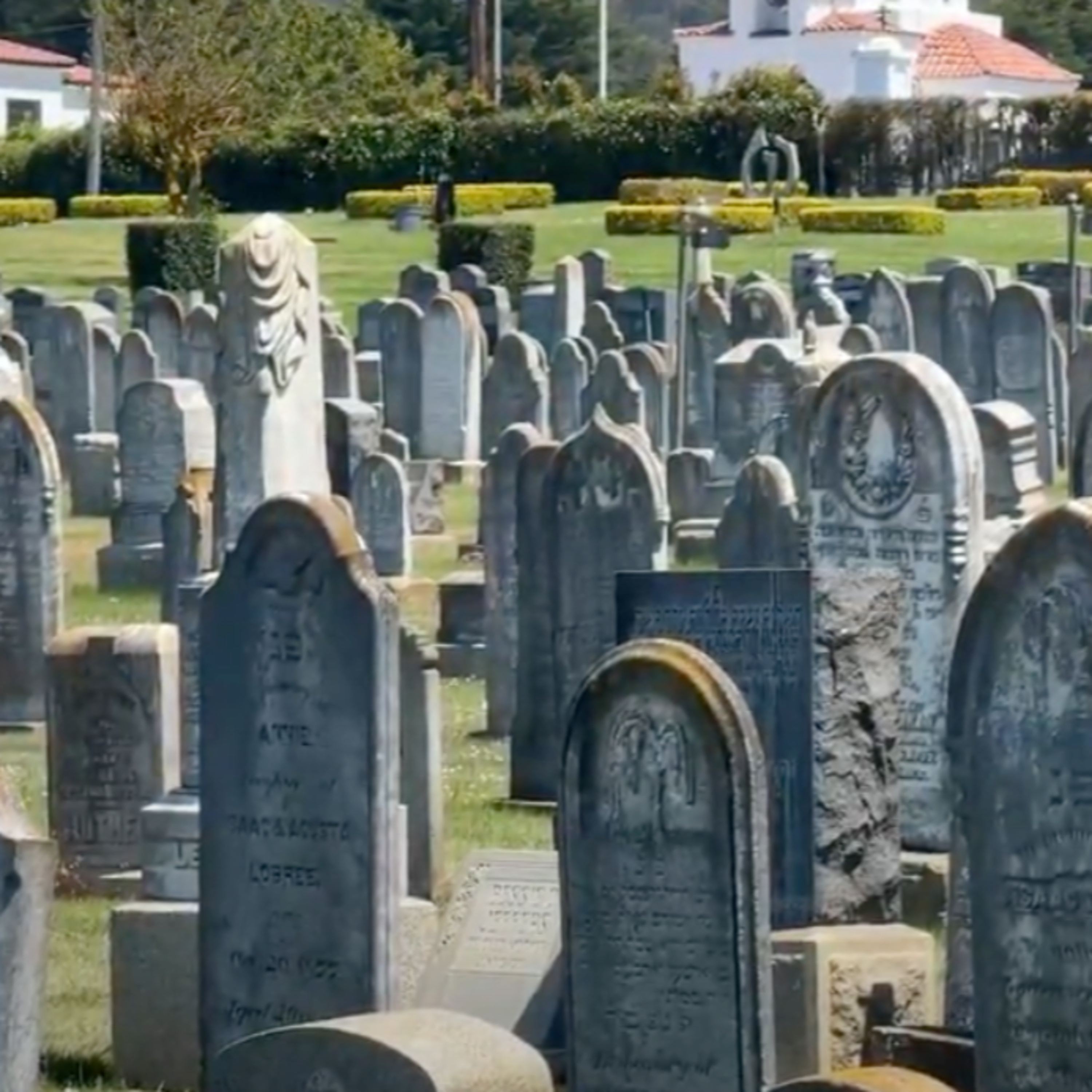 Ep. 115 - Colma: City of the Dead episode artwork