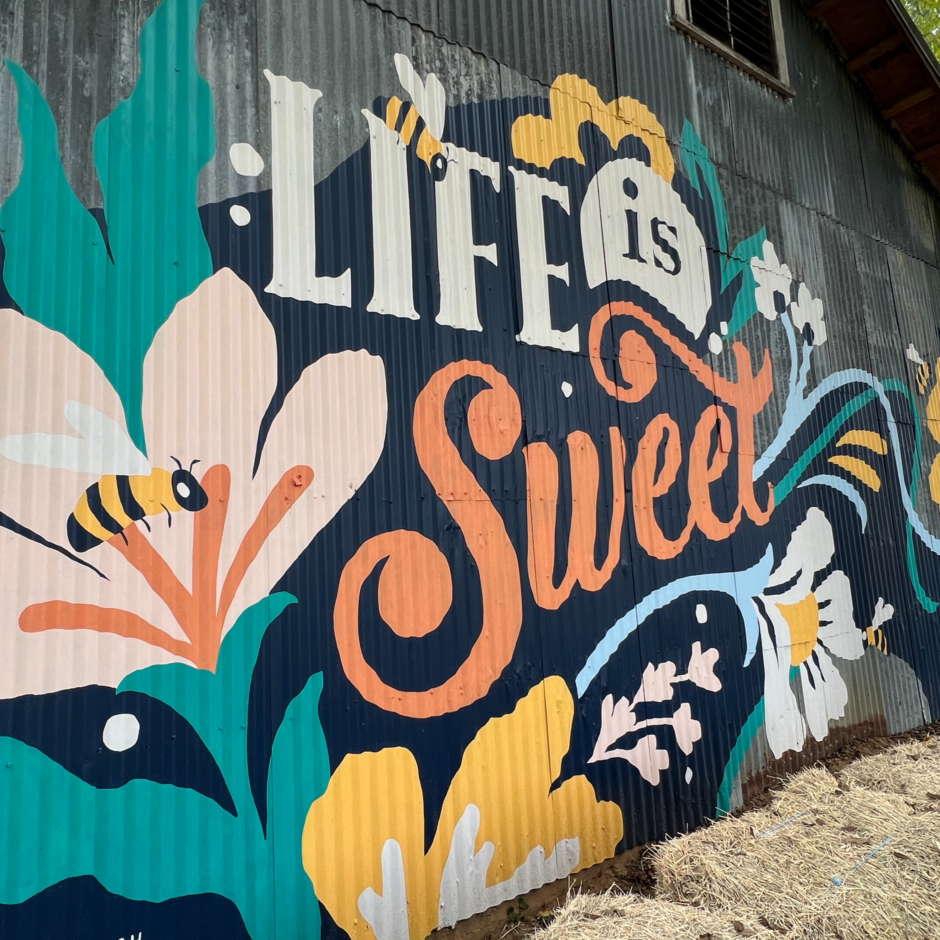 Ep. 126 - The Best Things to Do Instead of Tourist Traps in Small(er) US Cities episode artwork