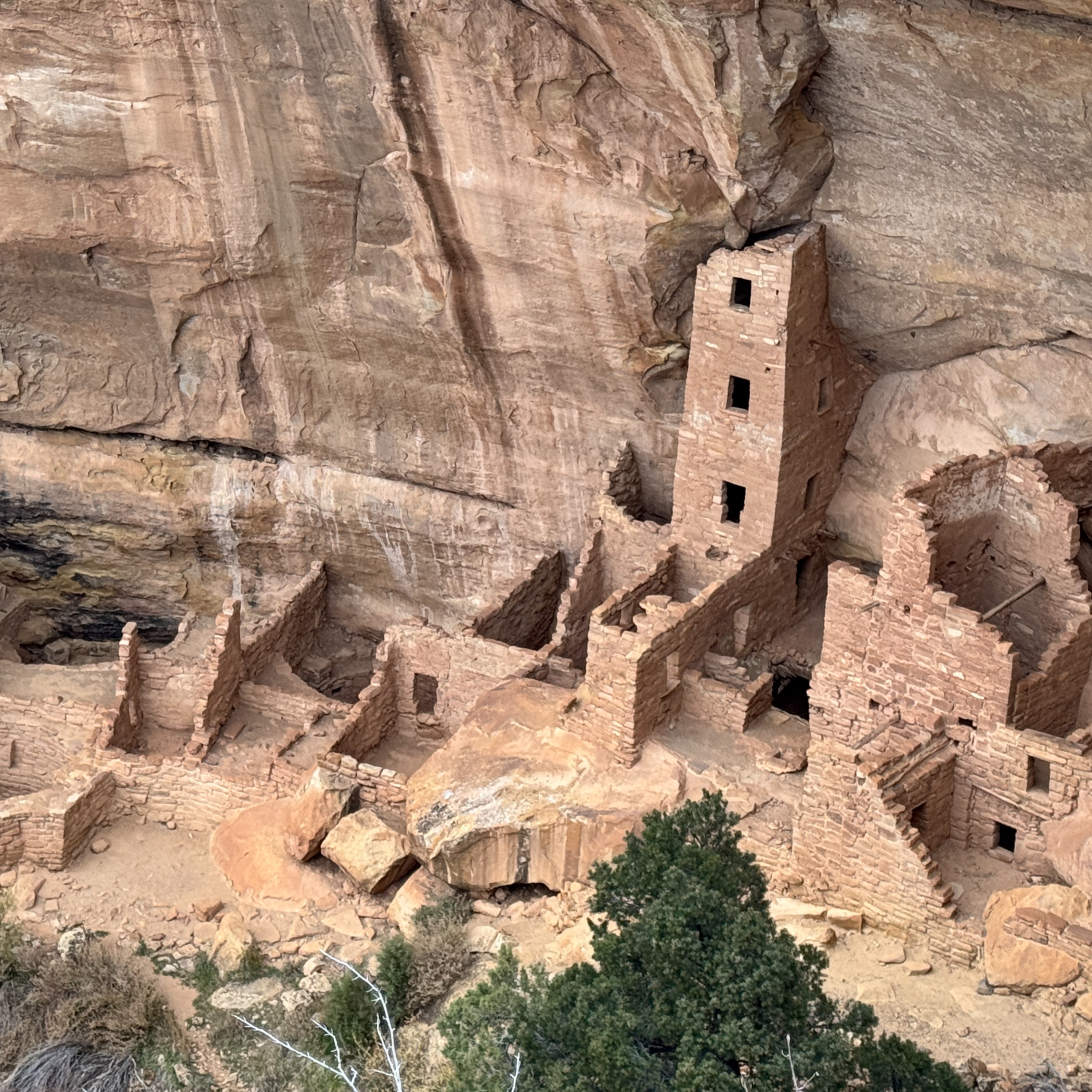 Ep. 142 - Mesa Verde National Park: A First-Time Visitor's Guide episode artwork