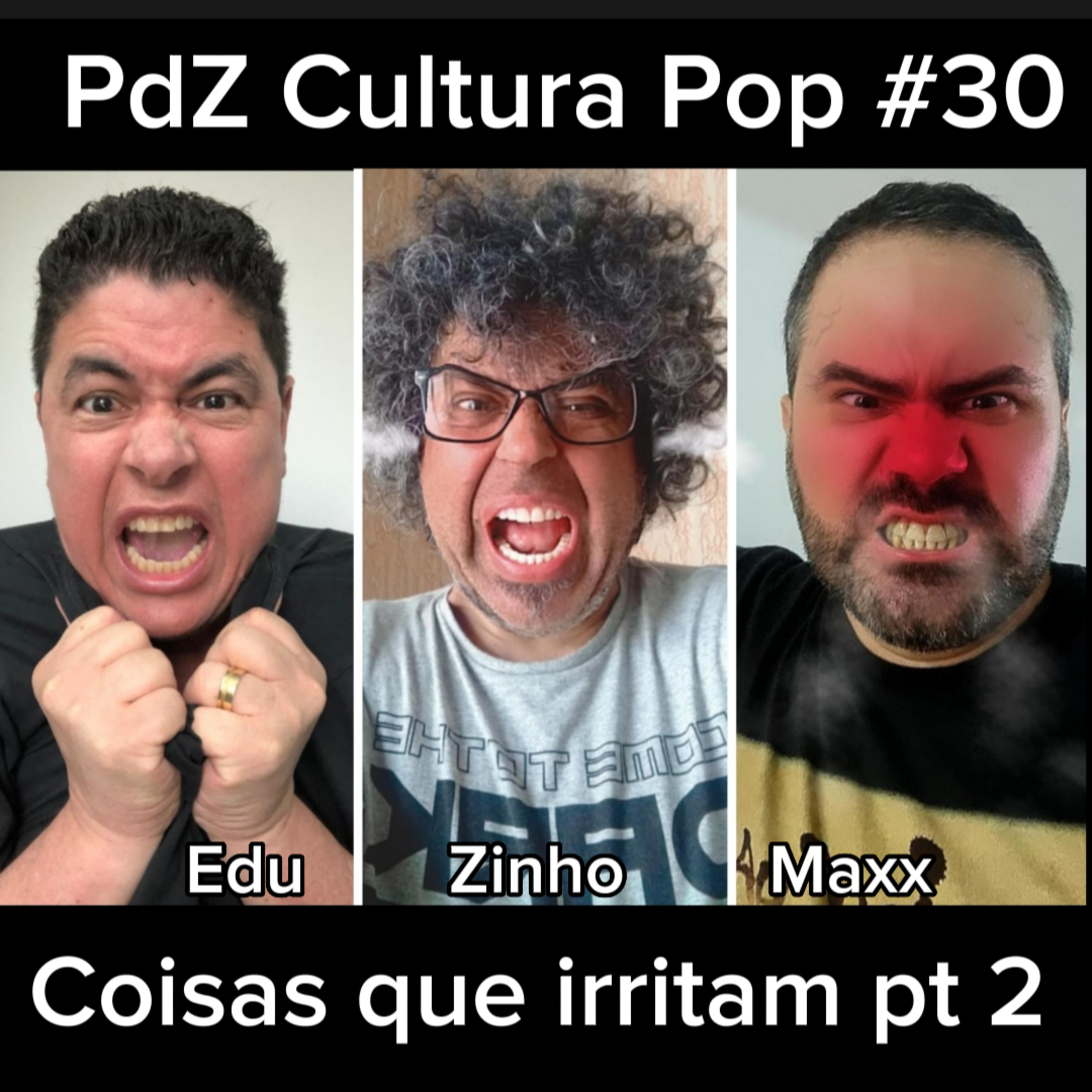 PdZ Cultura Pop