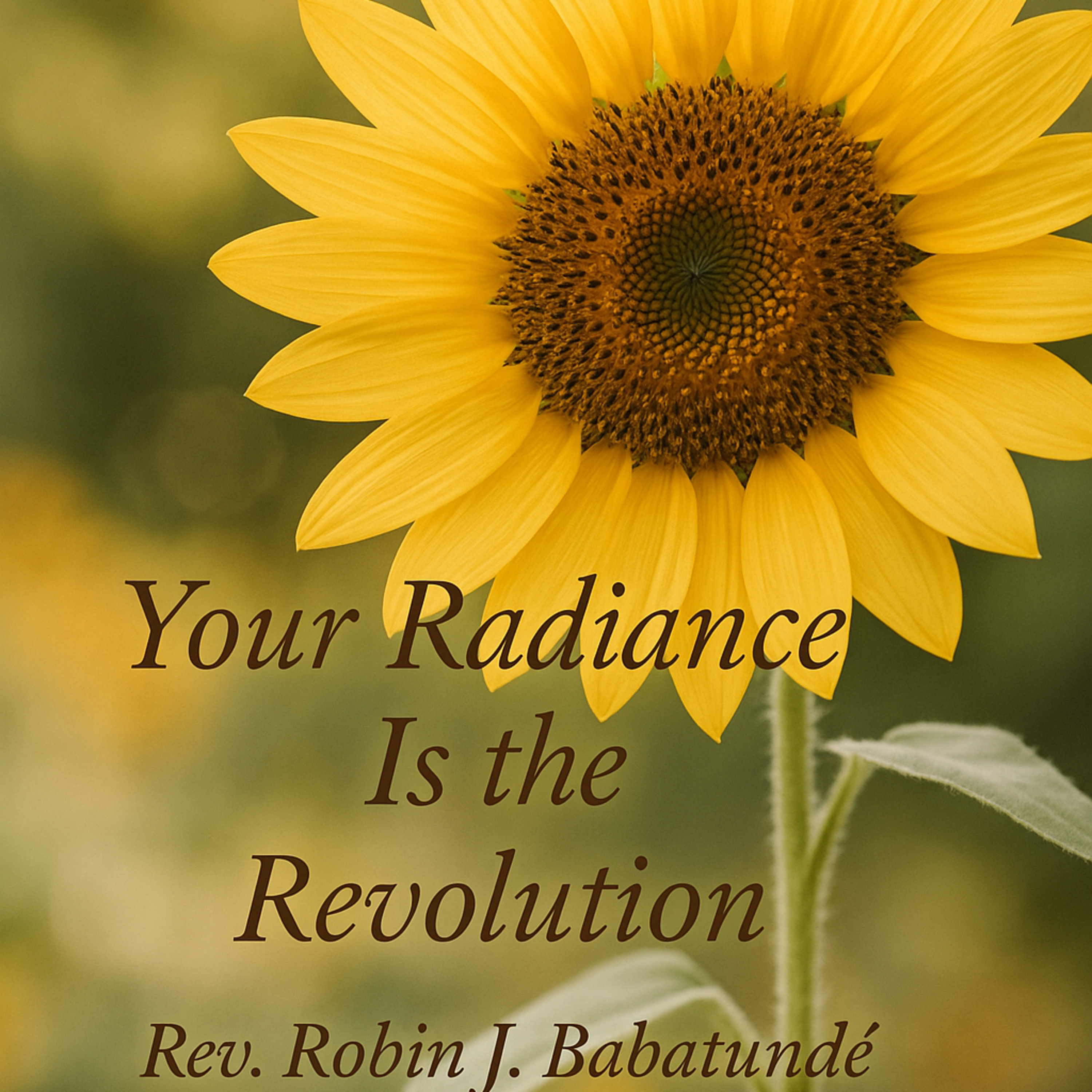 "Your Radiance is The Revolution' episode artwork