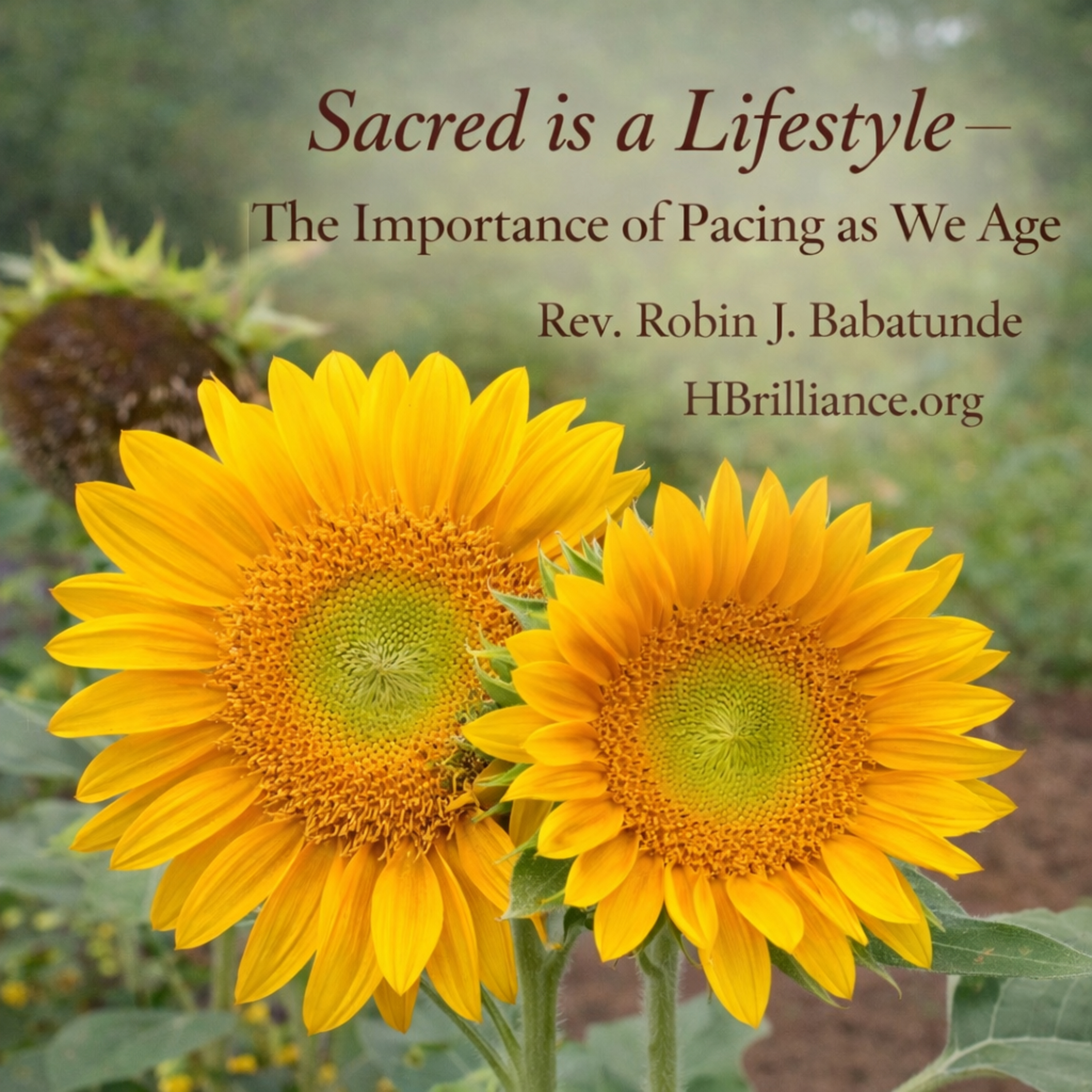 Sacred is a Lifestyle-The Importance of Pacing as We Age. episode artwork