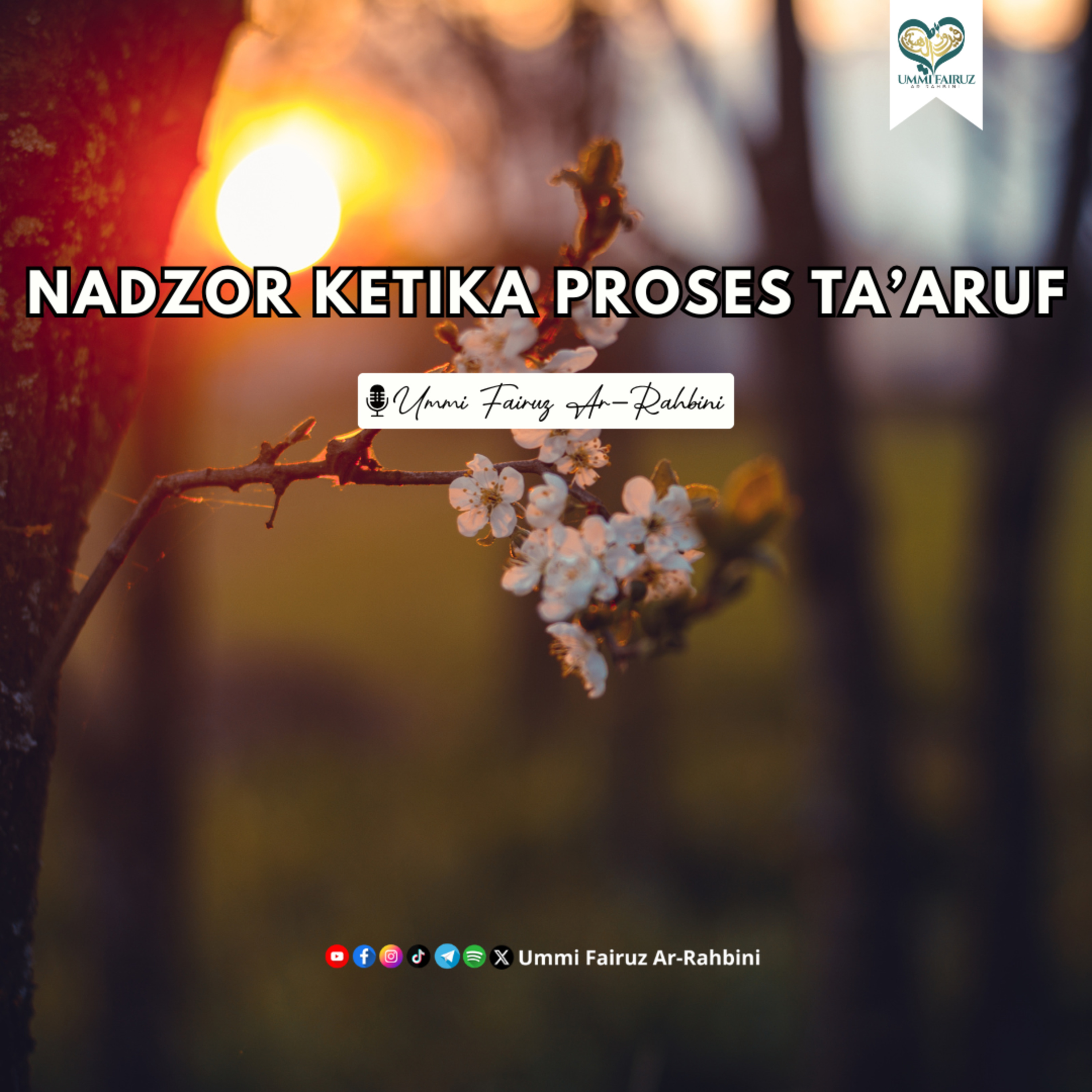 Nadzor Ketika Ta'aruf episode artwork