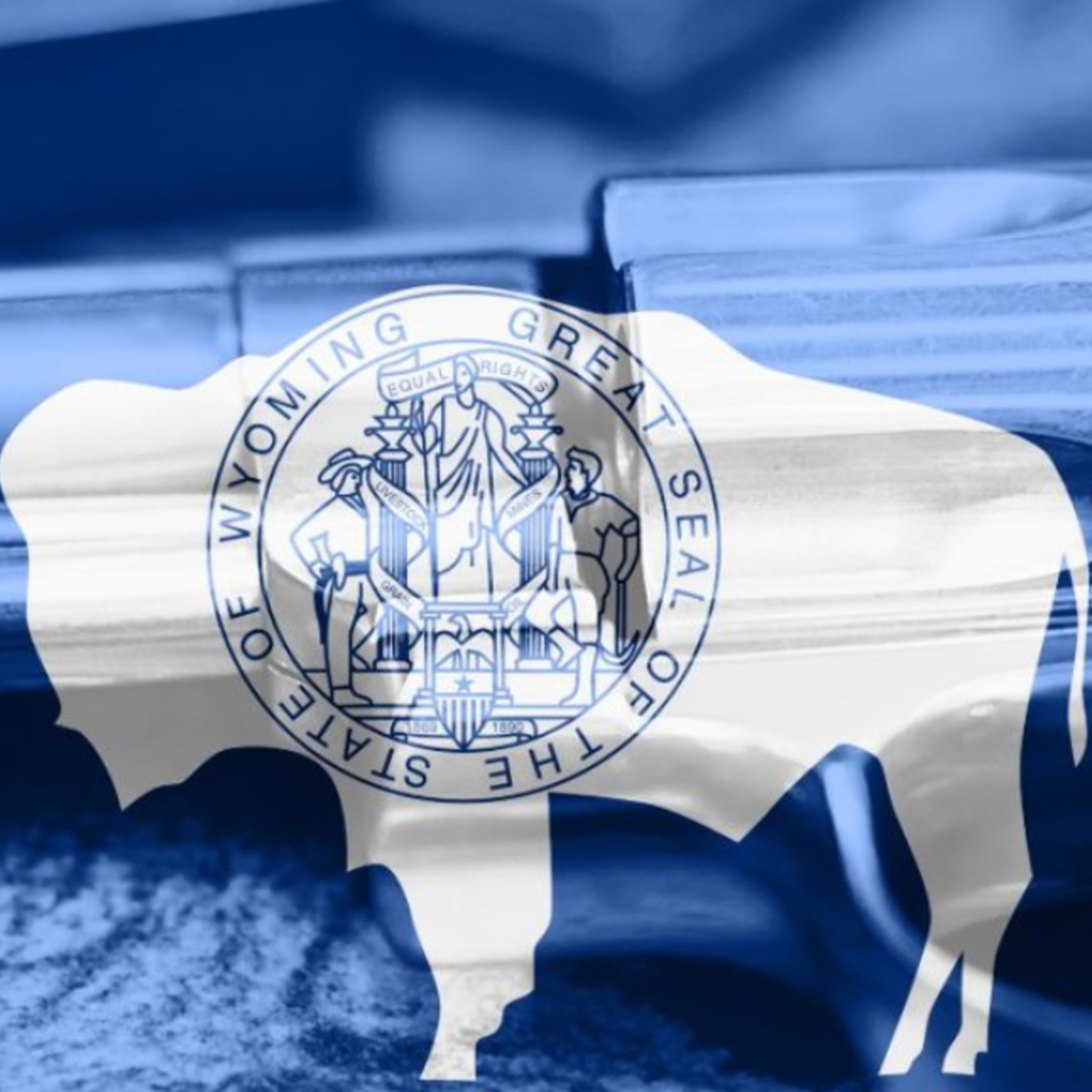 Ep. 1947: Trump Admin Opposes Wyoming Bill to Nullify Gun Control episode artwork