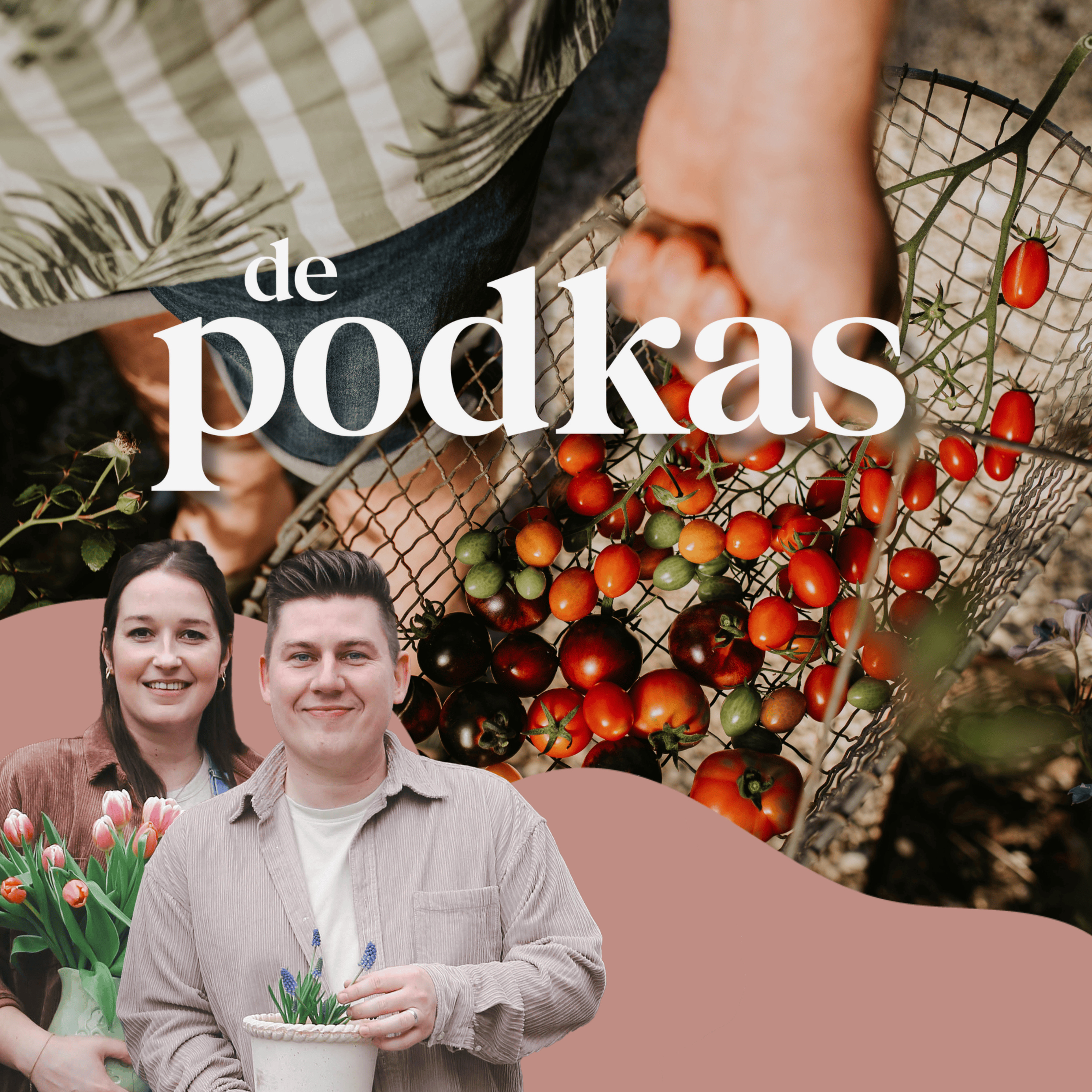 De Podkas #S2E6: Tomaten kweken | Stinzenplanten | 100.000 bodemdiertjes