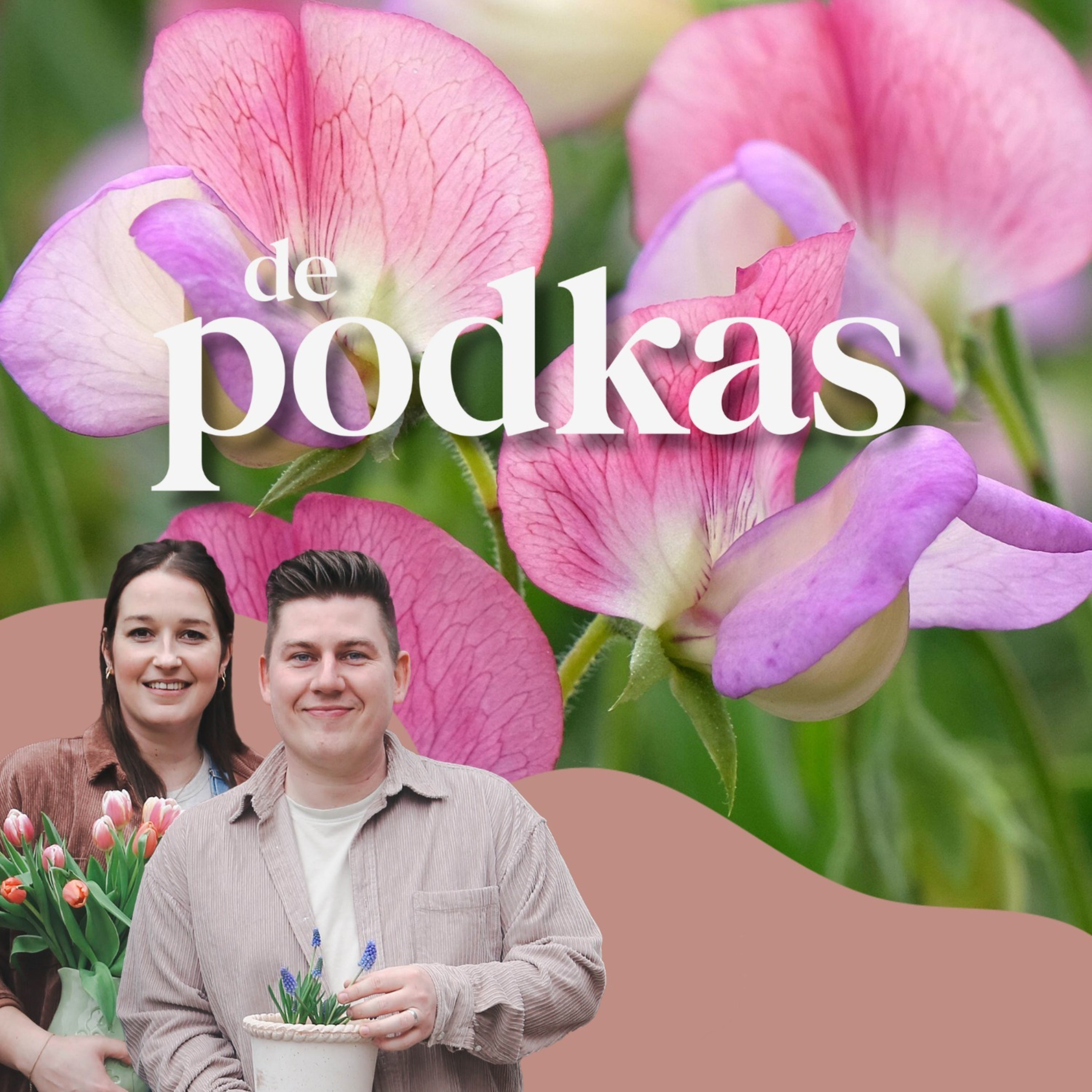 De Podkas #S2E15: Lathyrus of reukerwten | De bloem die ruikt naar de dood | Bijenorchidee
