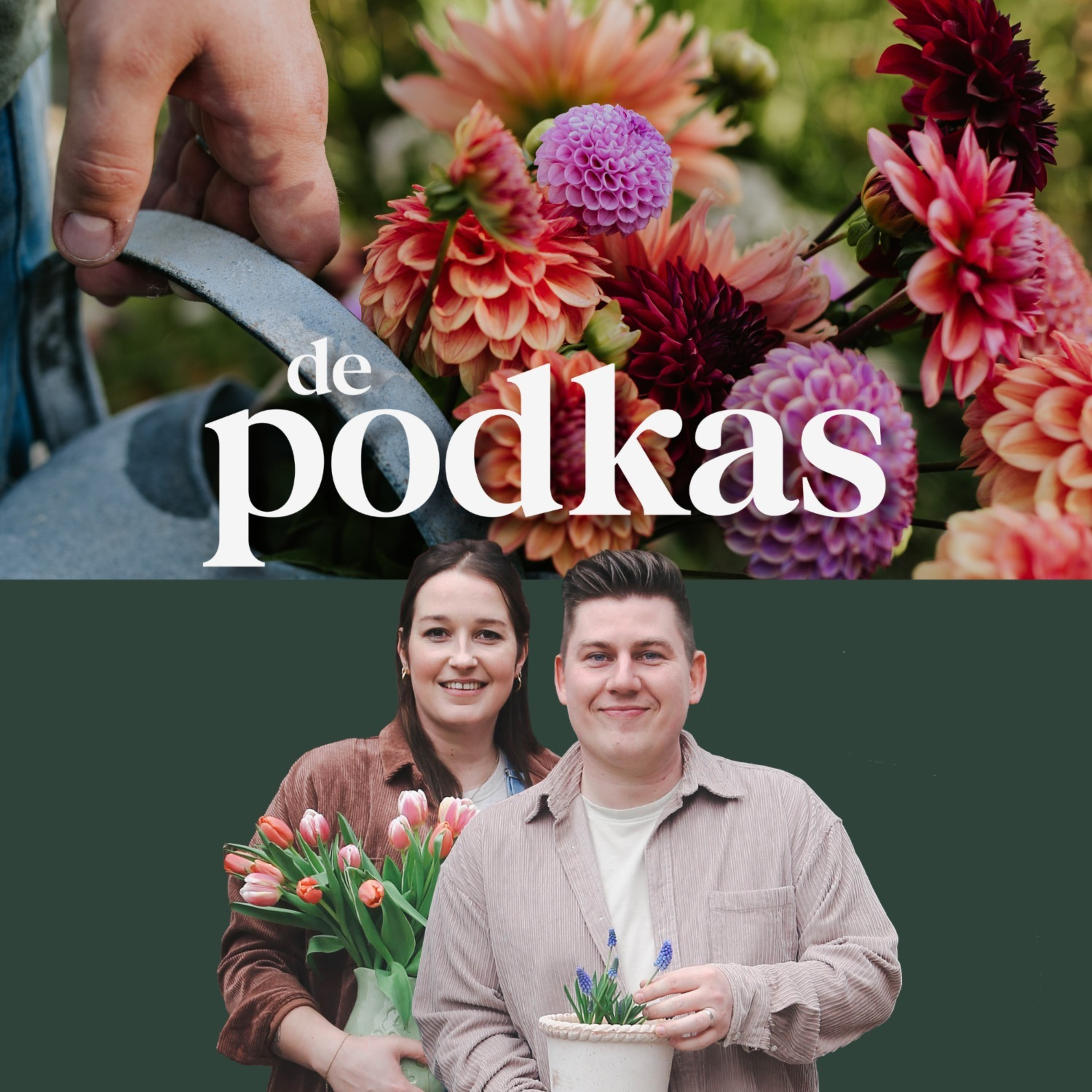 Dahlia, de koningin van de pluktuin | Dahlia's zaaien | Symphonische planten - De Podkas #S3E2