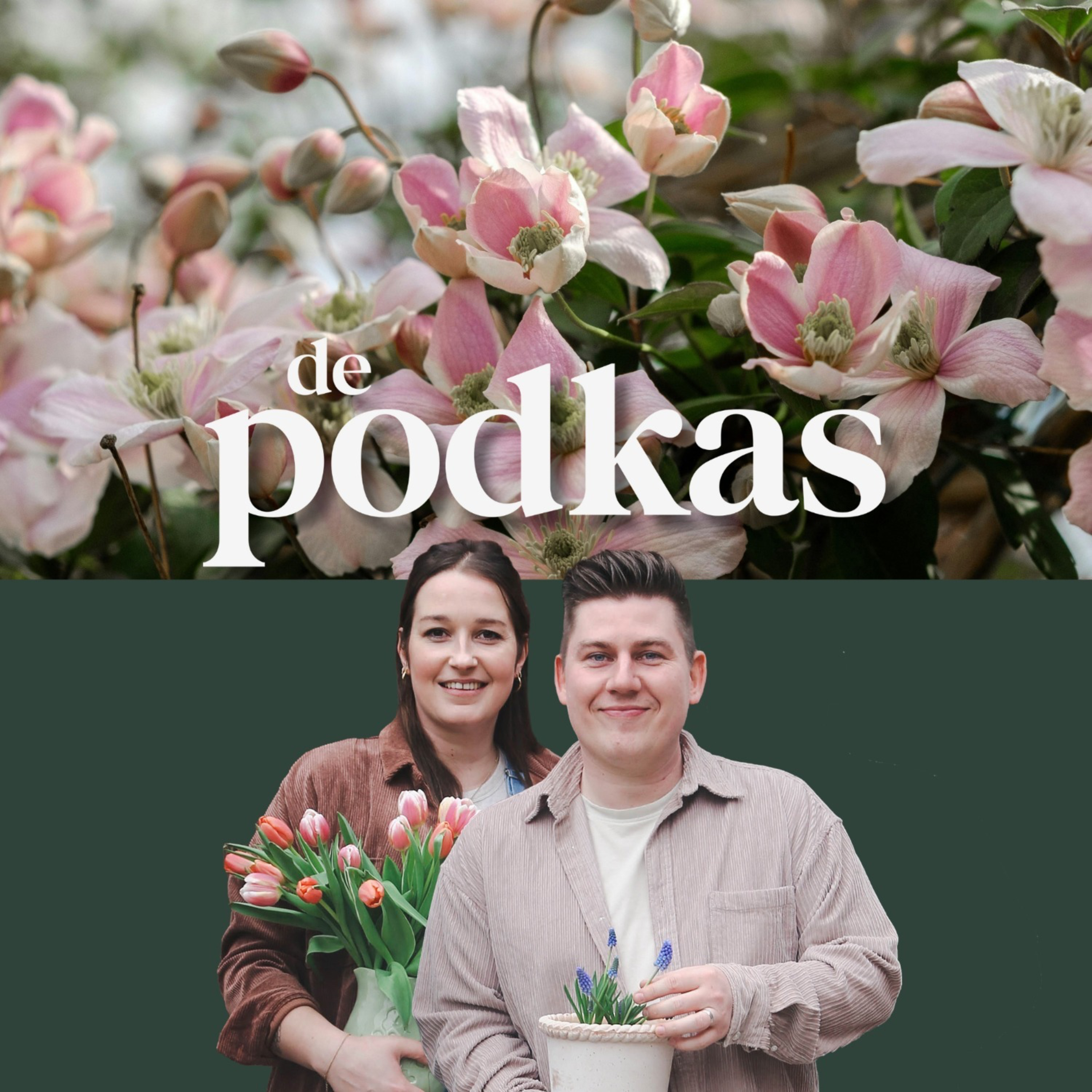 Klimplanten in de tuin | Welke planten zijn geschikt voor je gevel? - De Podkas #S3E12