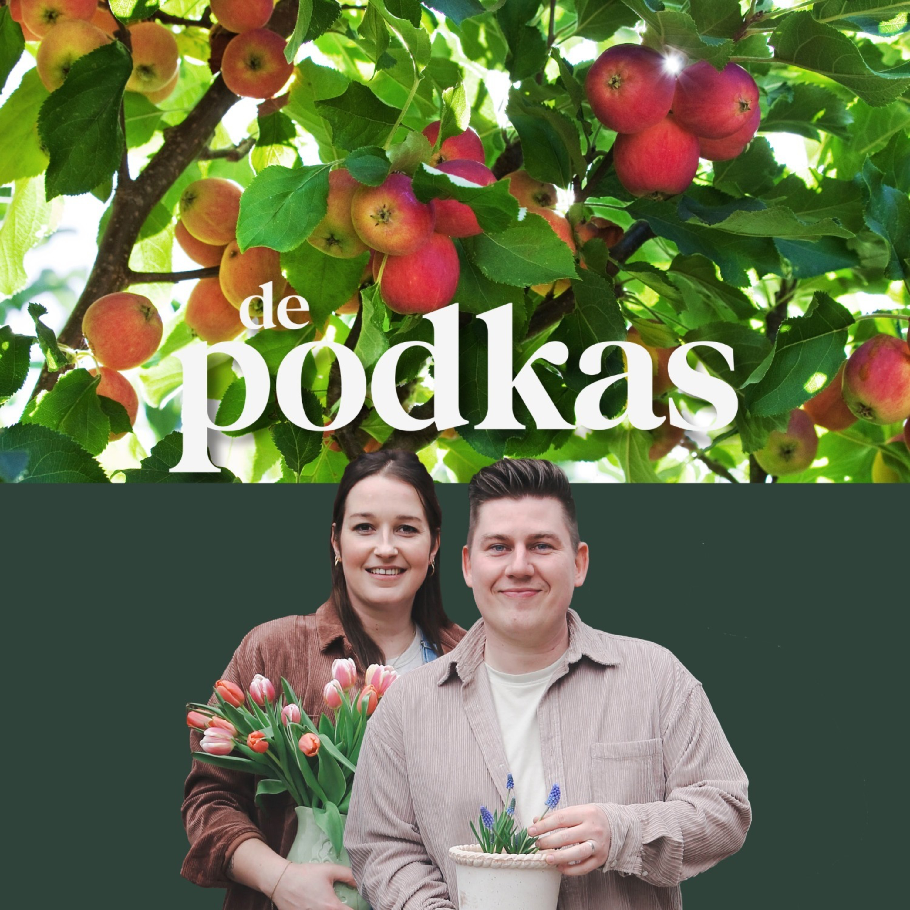 Fruit in de tuin | Fruitbomen en kleinfruit planten | Onze tuintips - De Podkas #S3E13