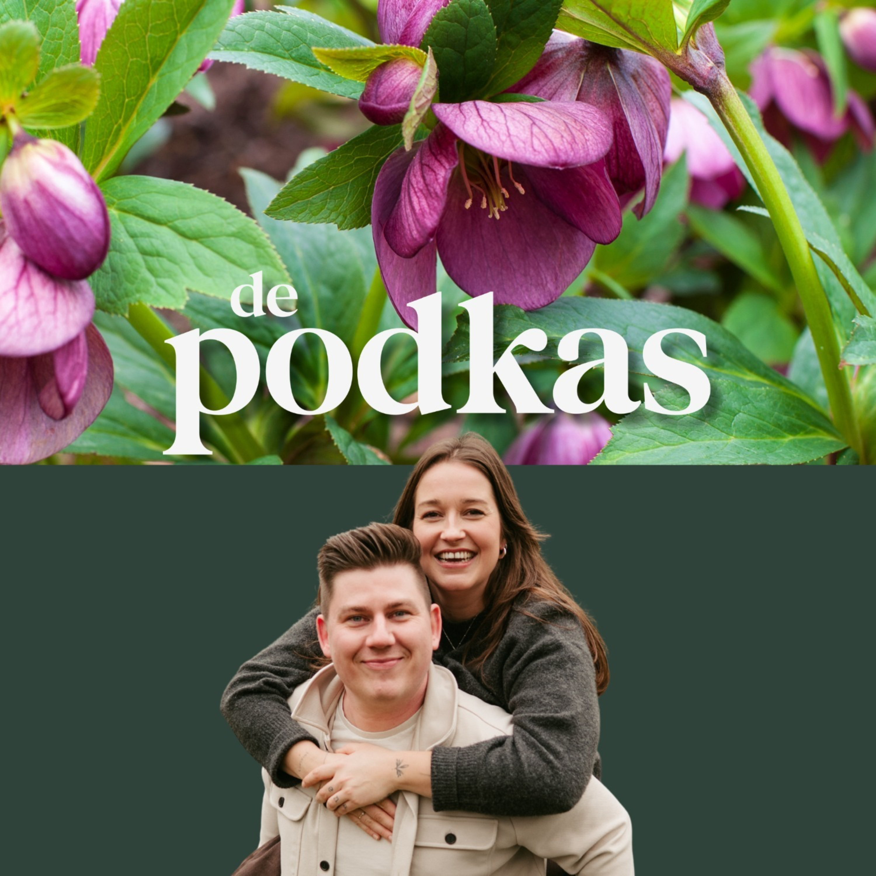 Onze zaaitips voor een goede start | Vroege bloeiers in de tuin | Helleborus en toverhazelaar - De Podkas #S4E1