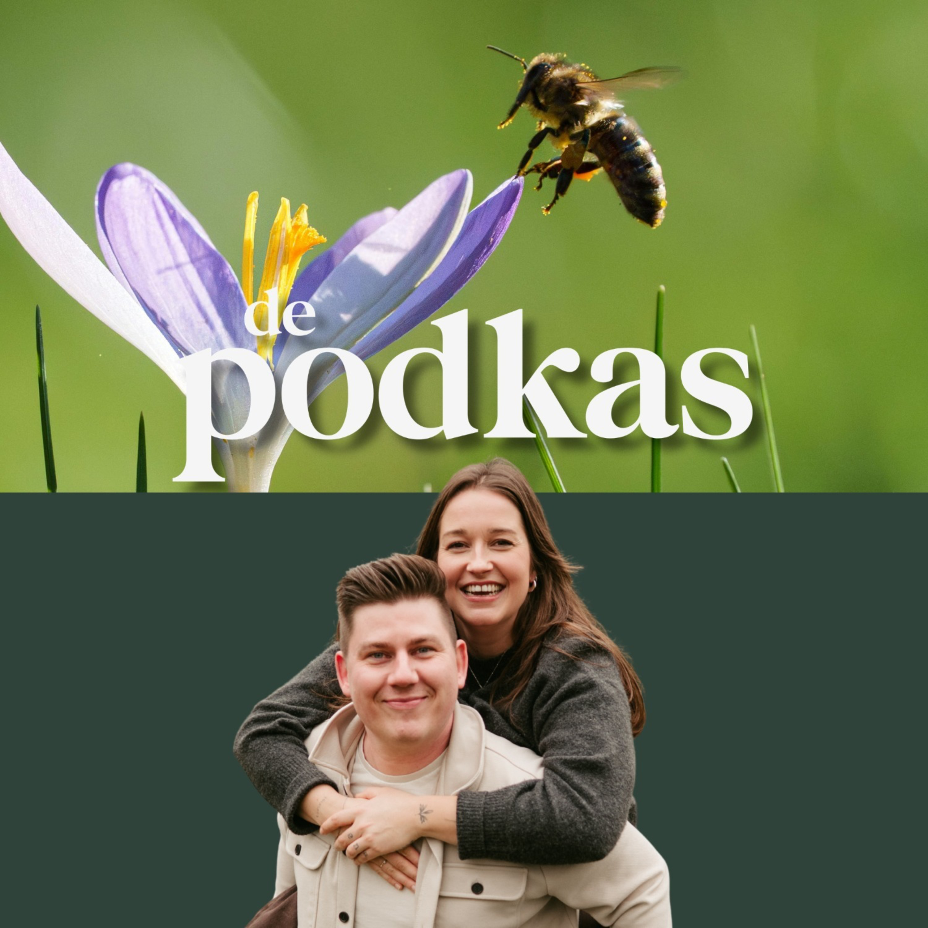 Met deze 7 tips krijg je meer bijen en vlinders in je tuin | Wat met uitgebloeide narcissen? #S4E10