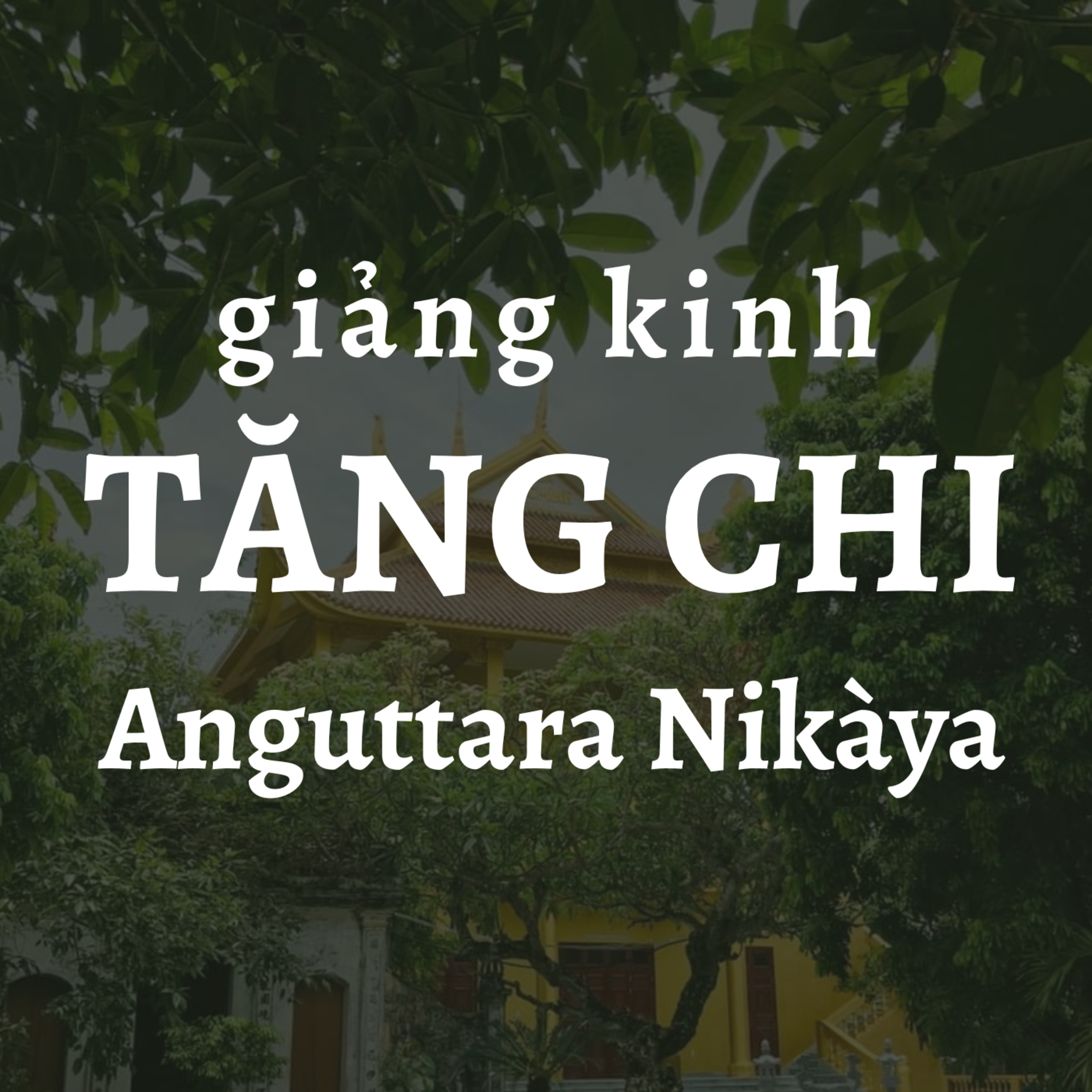 Sư Thanh Minh và các bài giảng Phật Pháp thuộc Kinh Nikaya