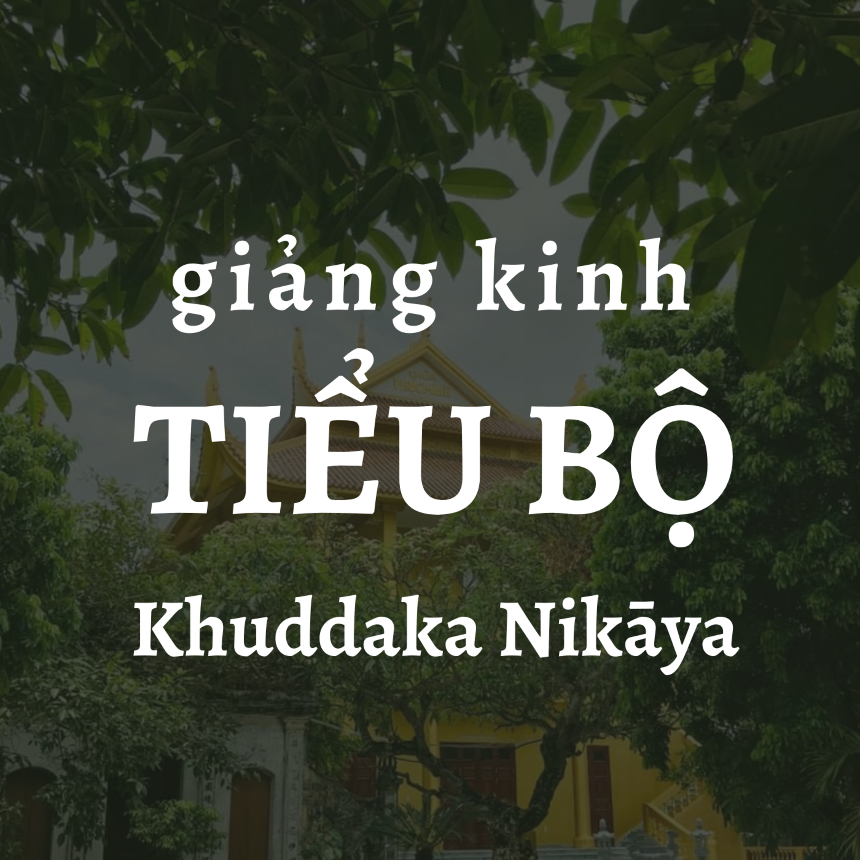 Sư Thanh Minh và các bài giảng Phật Pháp thuộc Kinh Nikaya